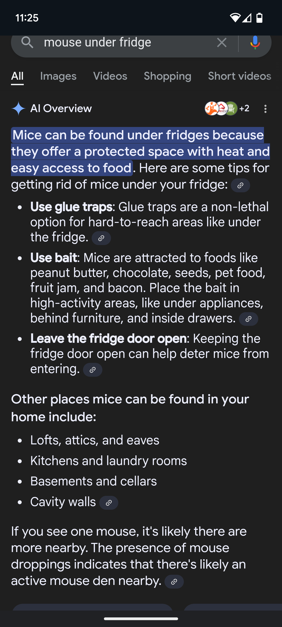 The Third Tip: Definitely Not Penned by a Mouse!