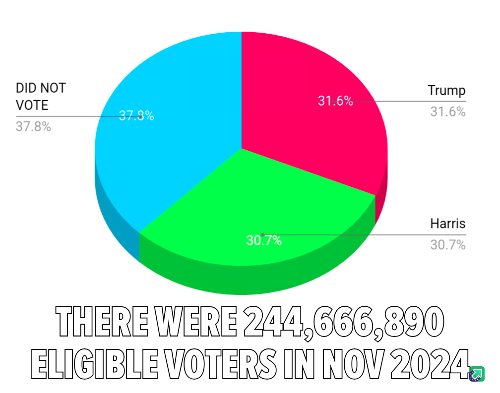 I Absolutely Did Not Cast My Vote