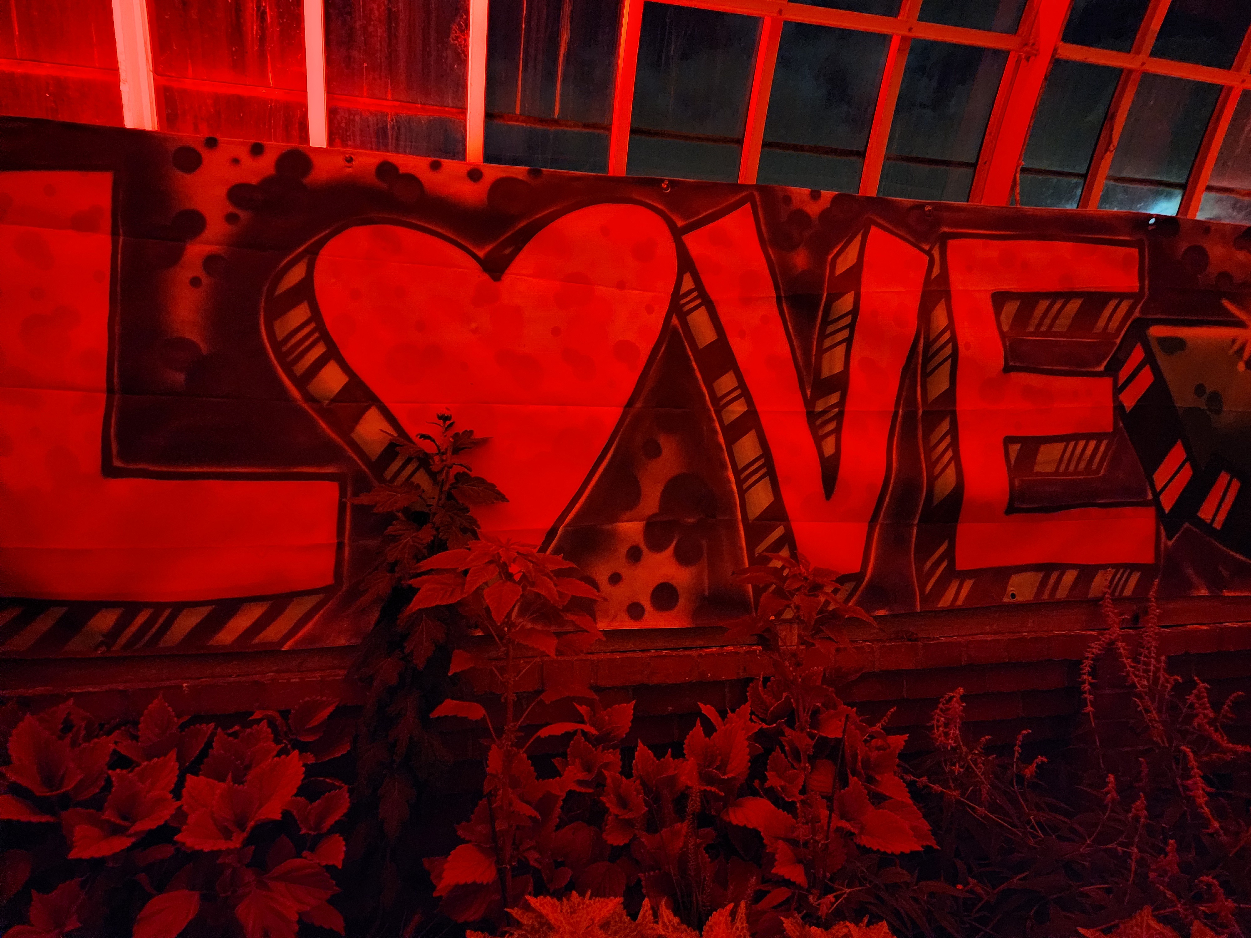 All you need is love: Celebrating Valentine's Day!