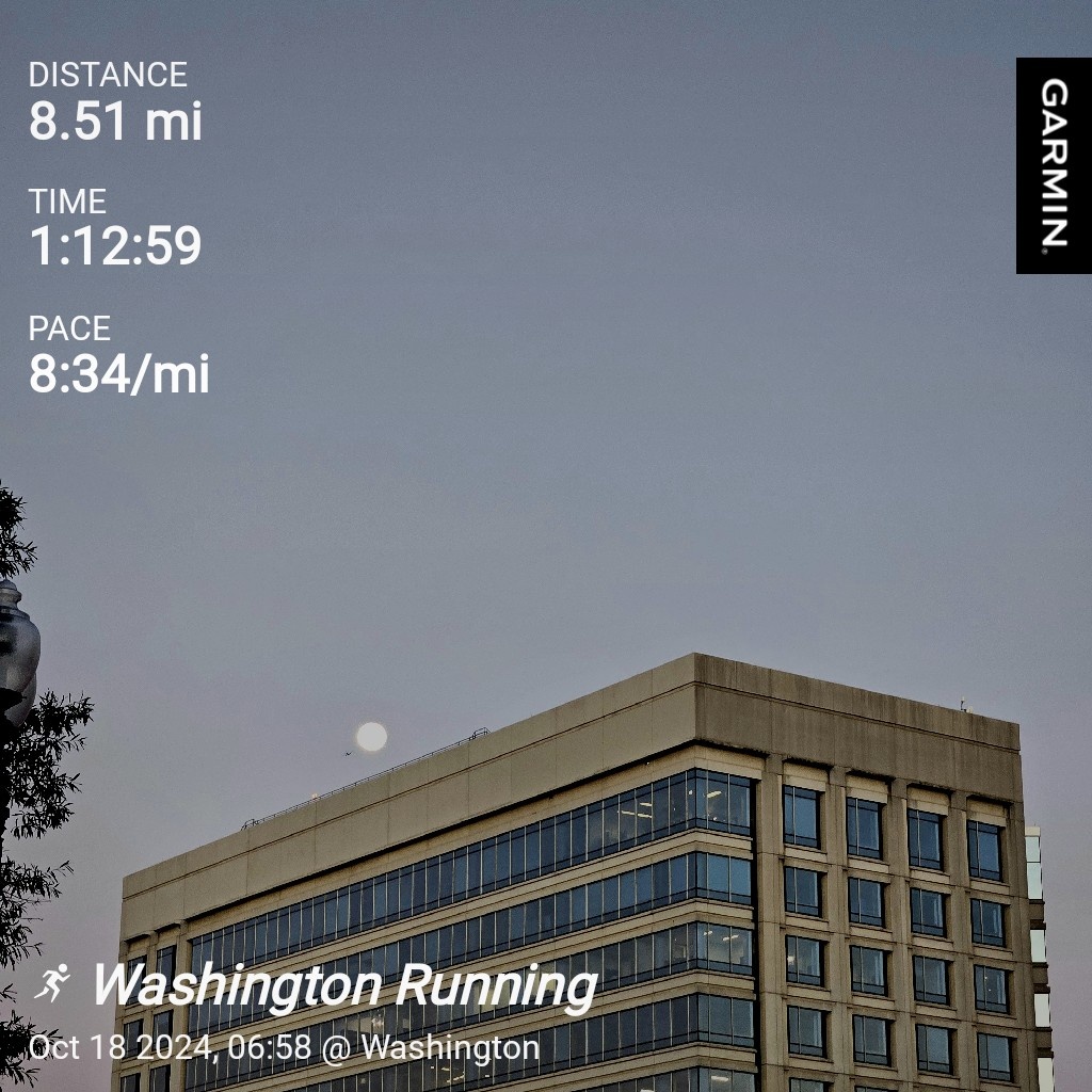 The Everyday Journey of a Daily Runner