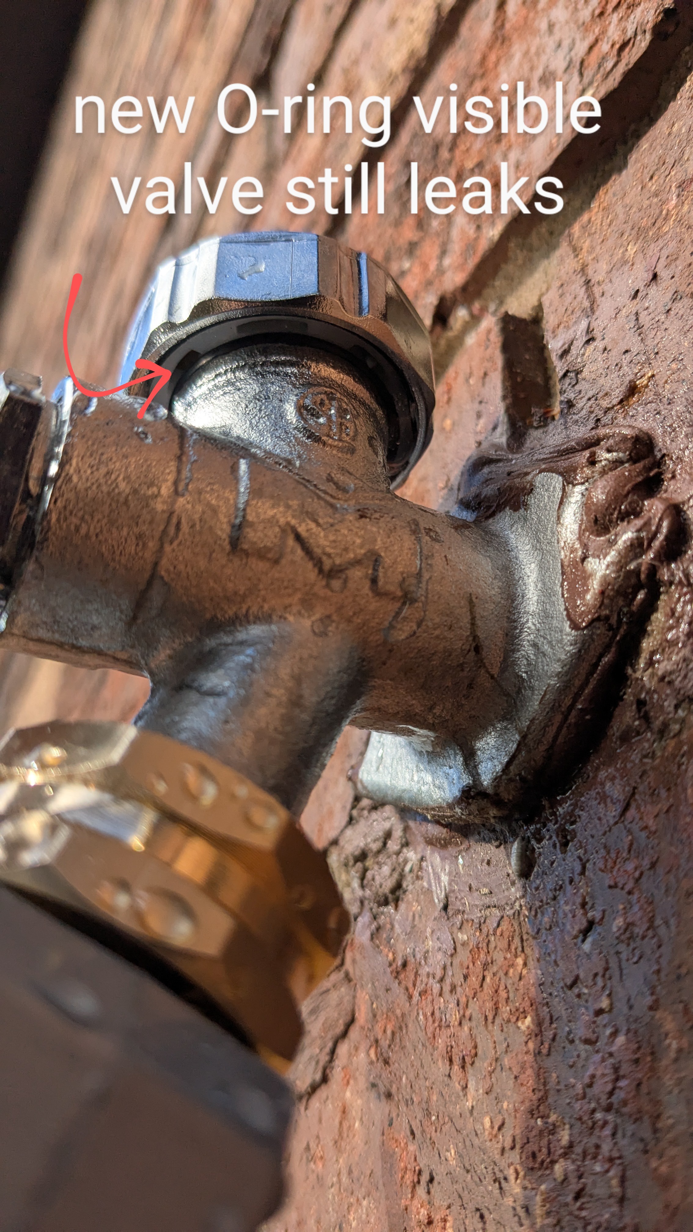 The Enigmatic Spigot: Unraveling the Mystery