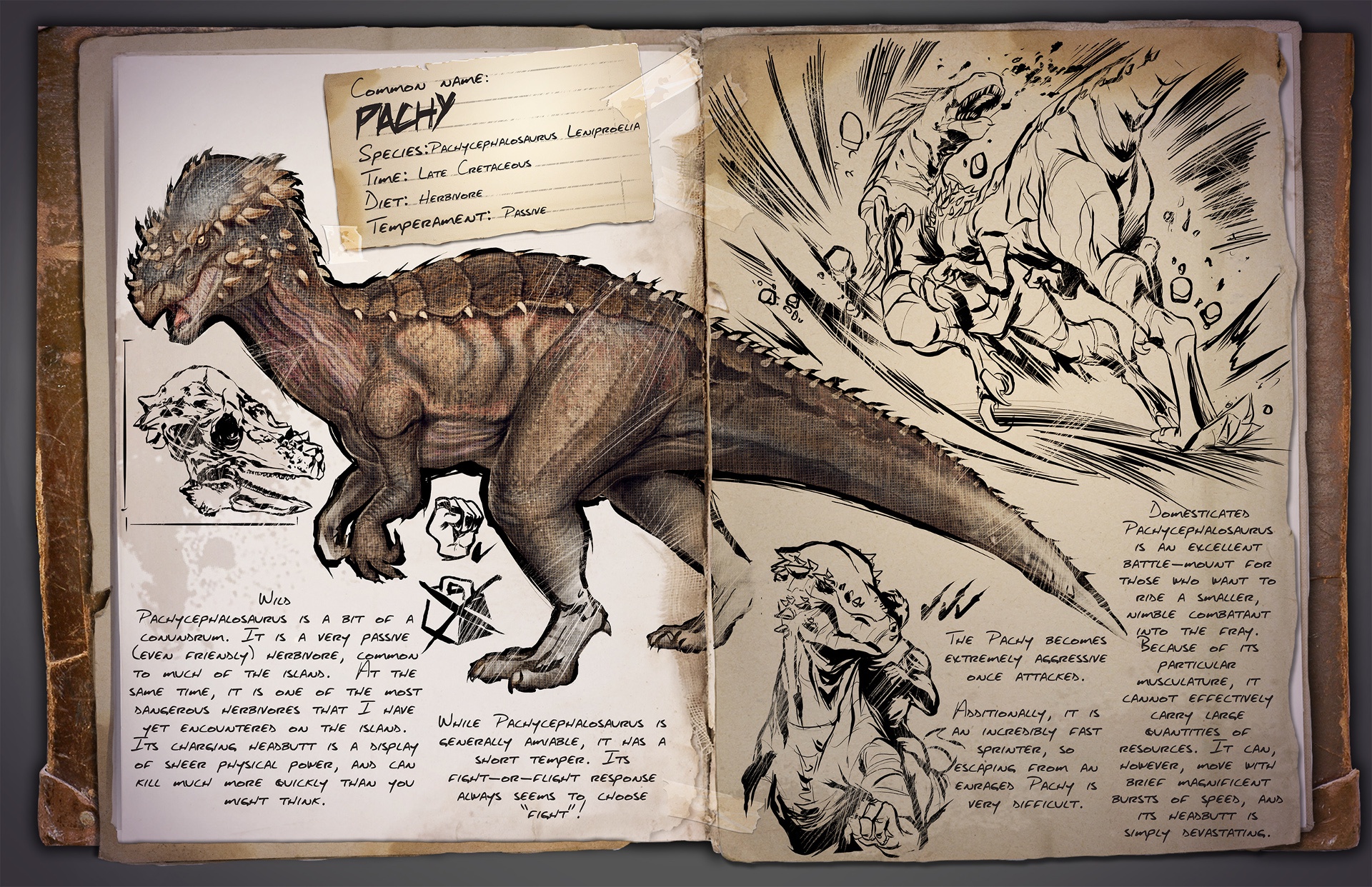 The Mysterious Pachy Dossier Unveiled
