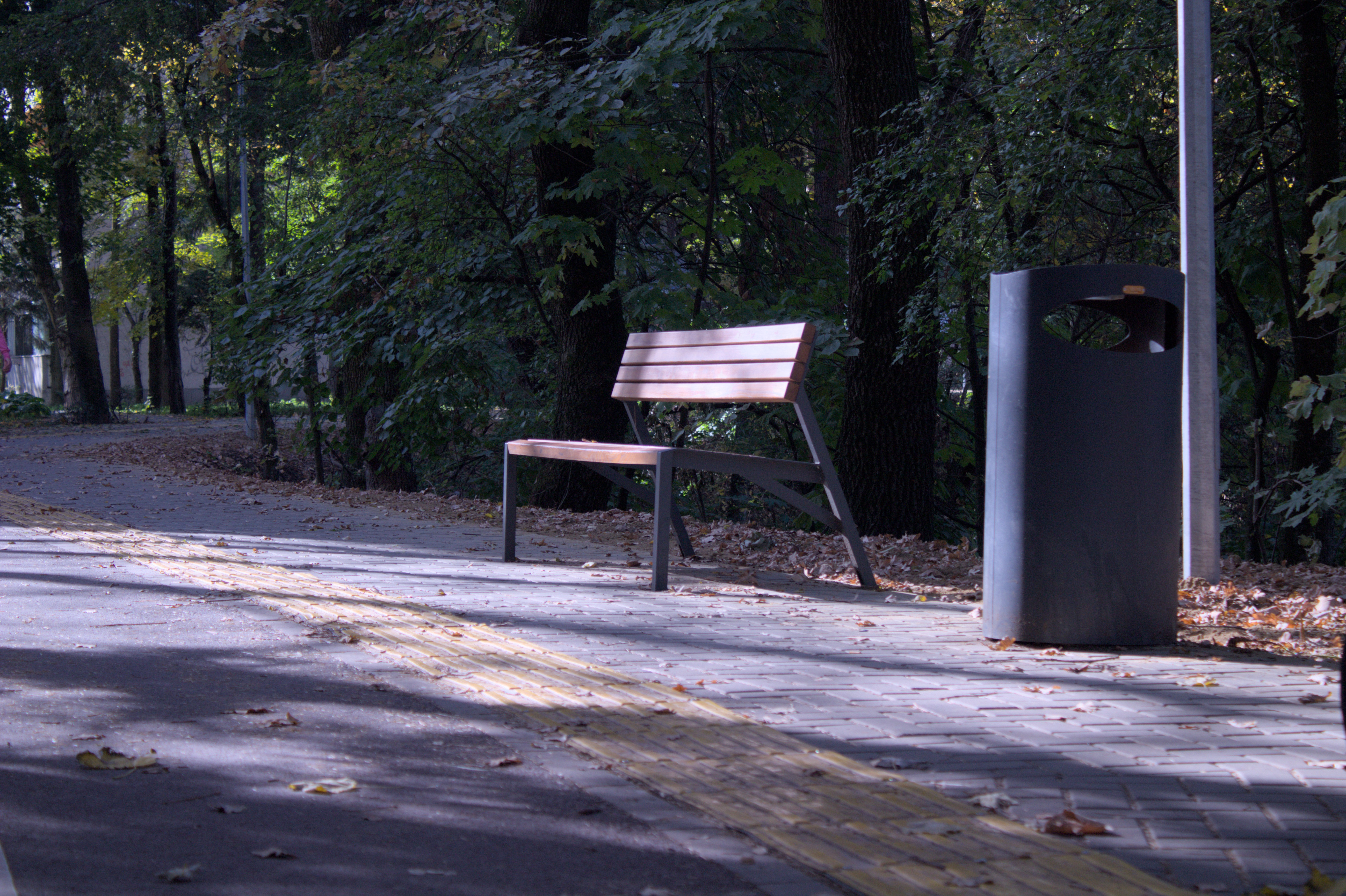 Finding Peace in the Heart of the Park
