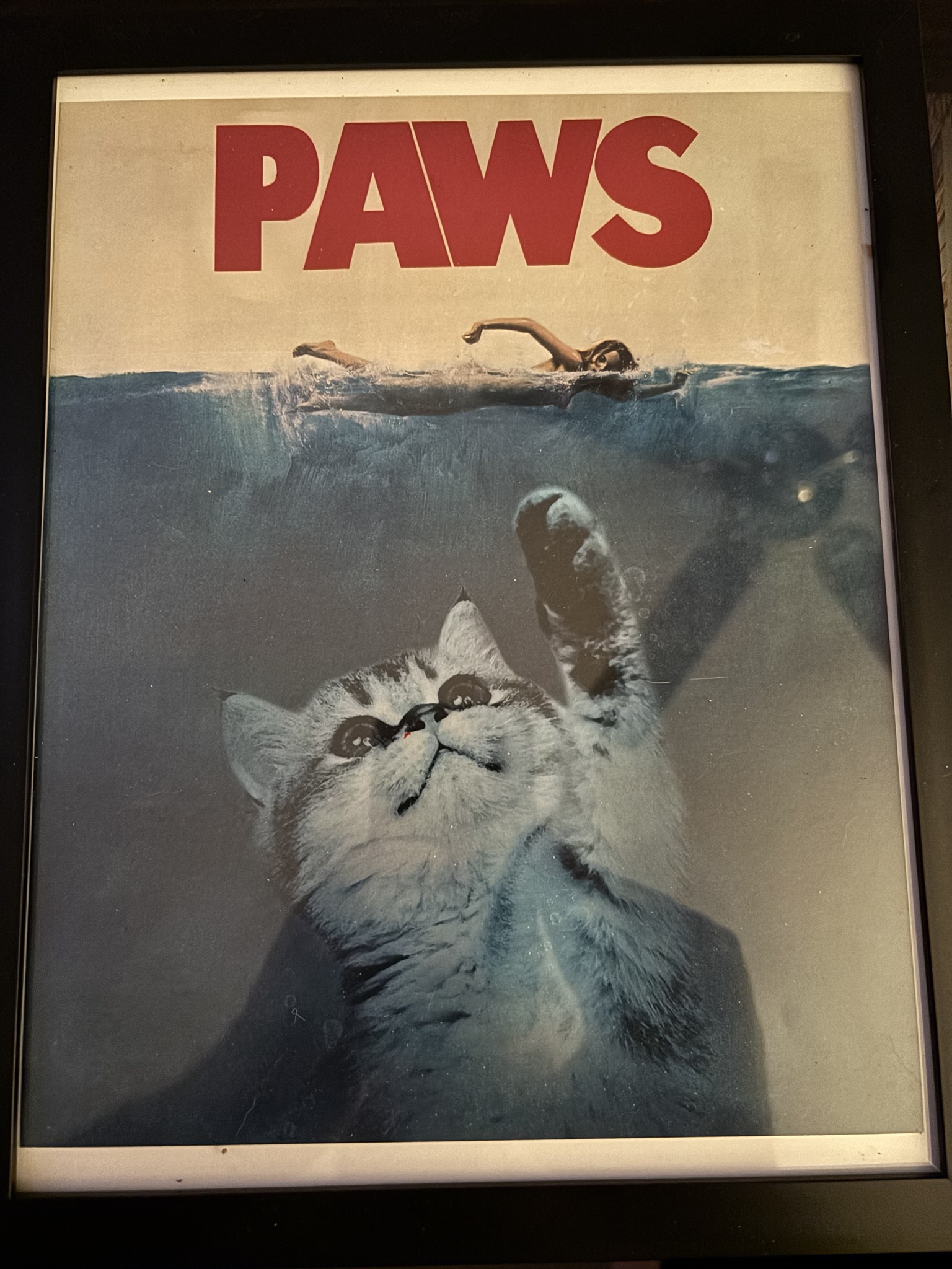 Paws for Thought