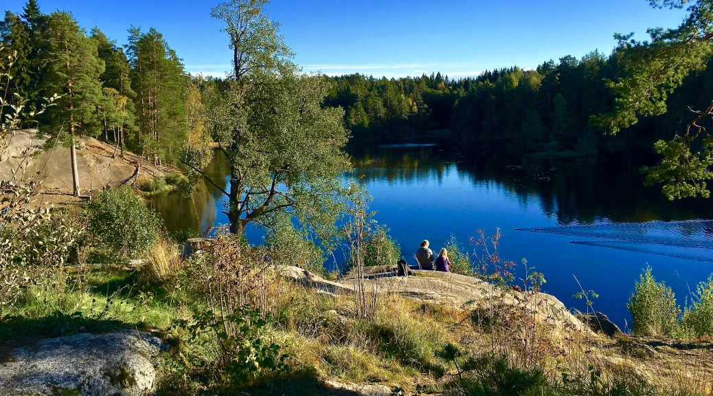 Exploring Østmarka: Nature's Beauty