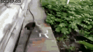 Dive into Nostalgia with Our Retro Gif Collection: Part 1