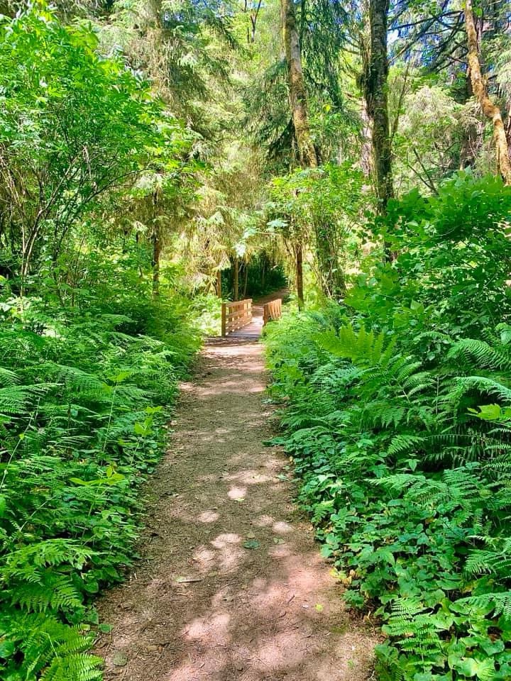 The Journey Ahead: Finding Your Path