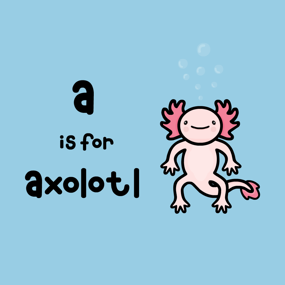 A is for Adorable Axolotl