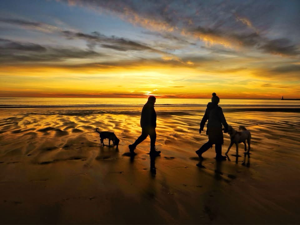 The Art of Silhouette: Capturing Shadows in Stunning Detail