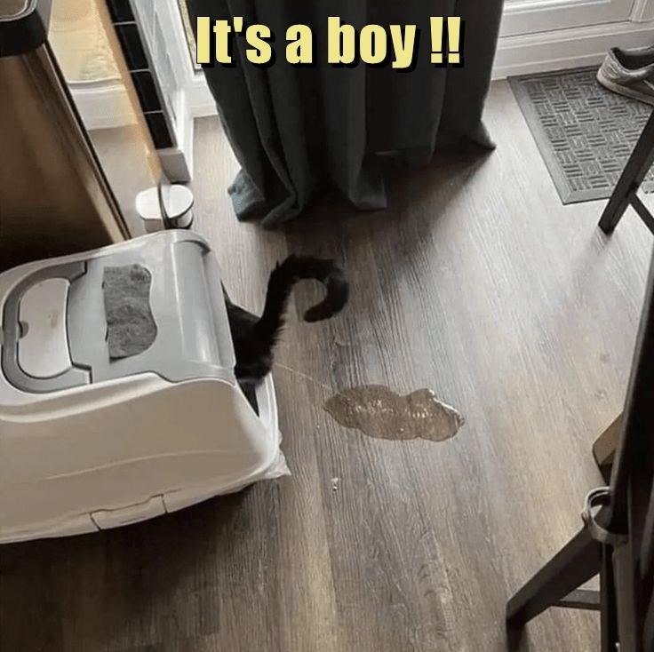 Always Playing Hide and Seek!
