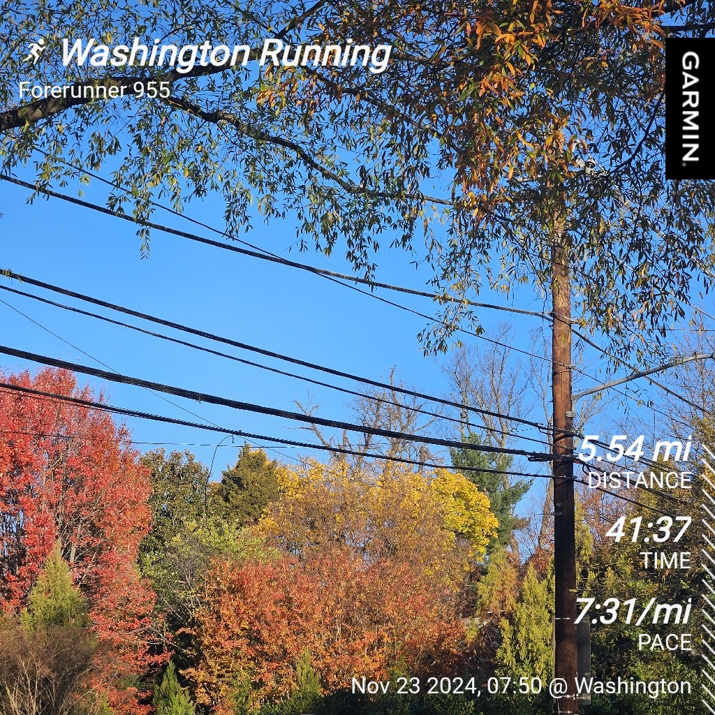 The Daily Grind: A Runner's Journey