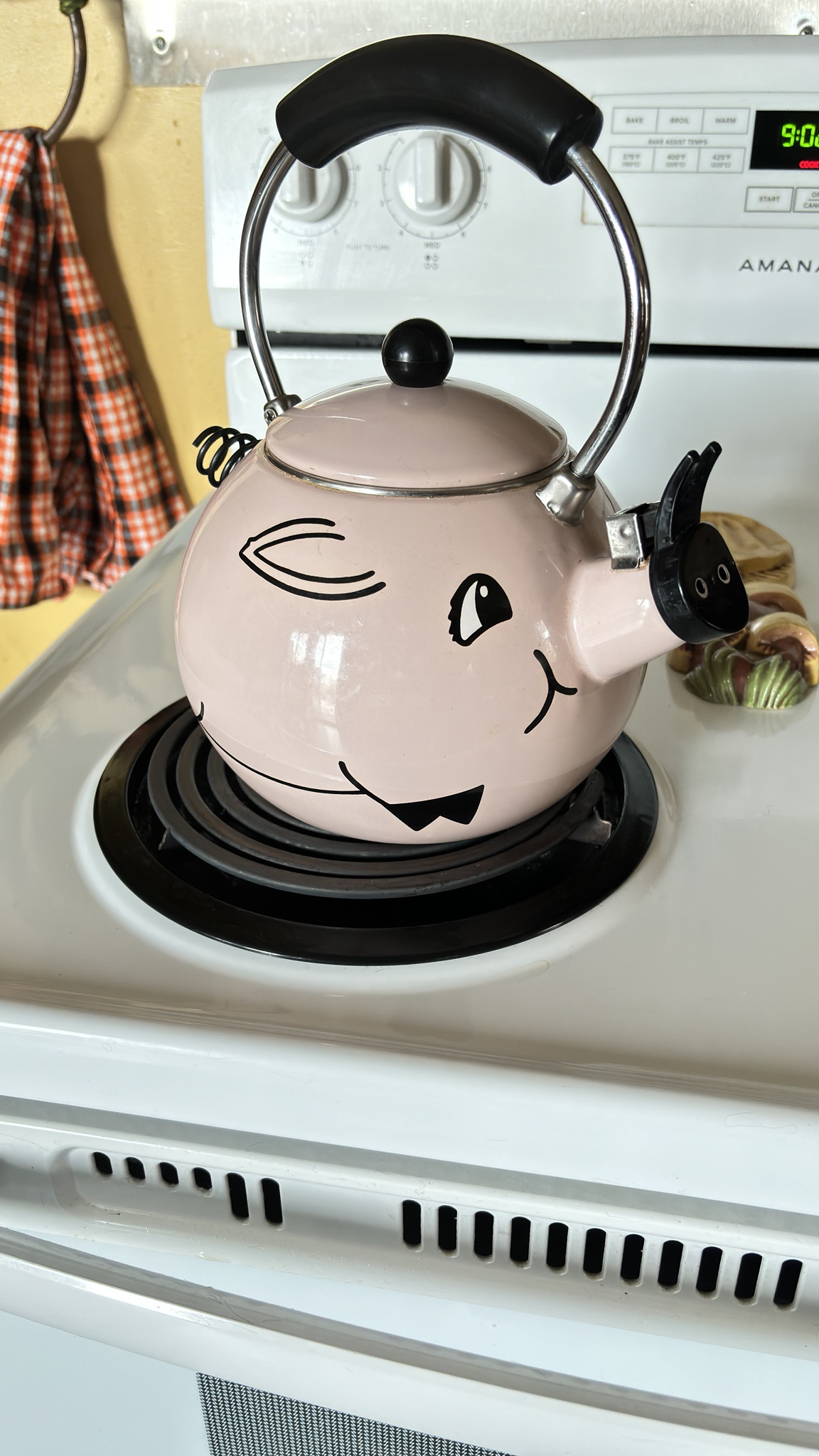 Meet the adorable Piggy Kettle!