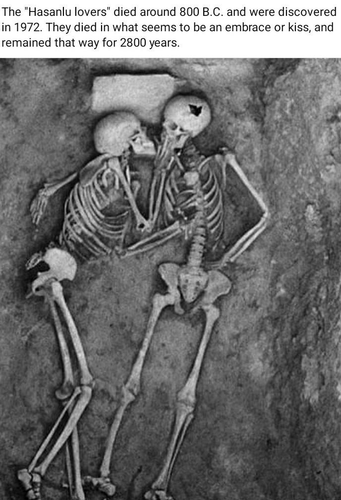 Roommates from Ancient Times: A Hilarious Tale