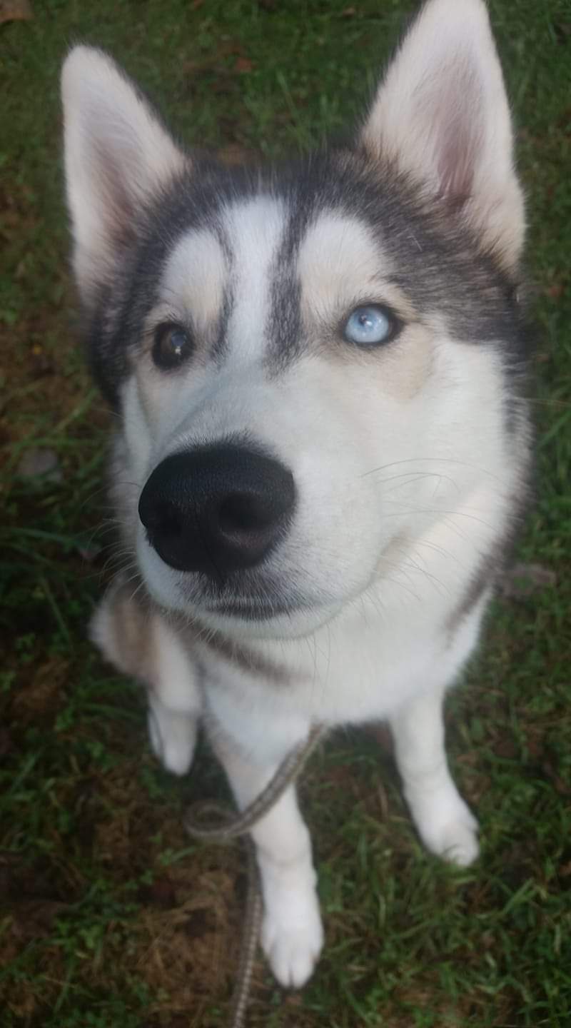 Adorable Cuties That Melt Your Heart