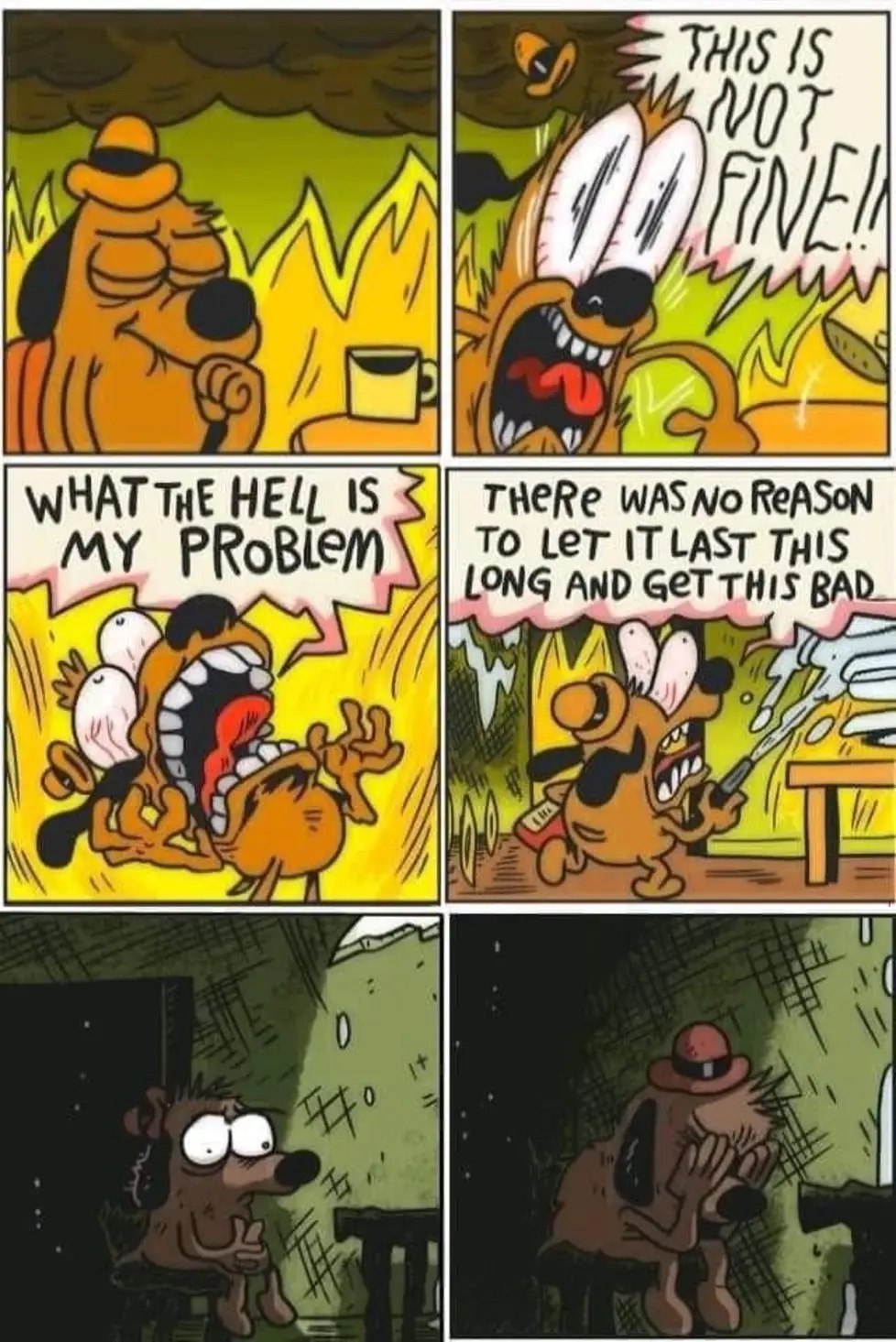 The rollercoaster ride we call life
