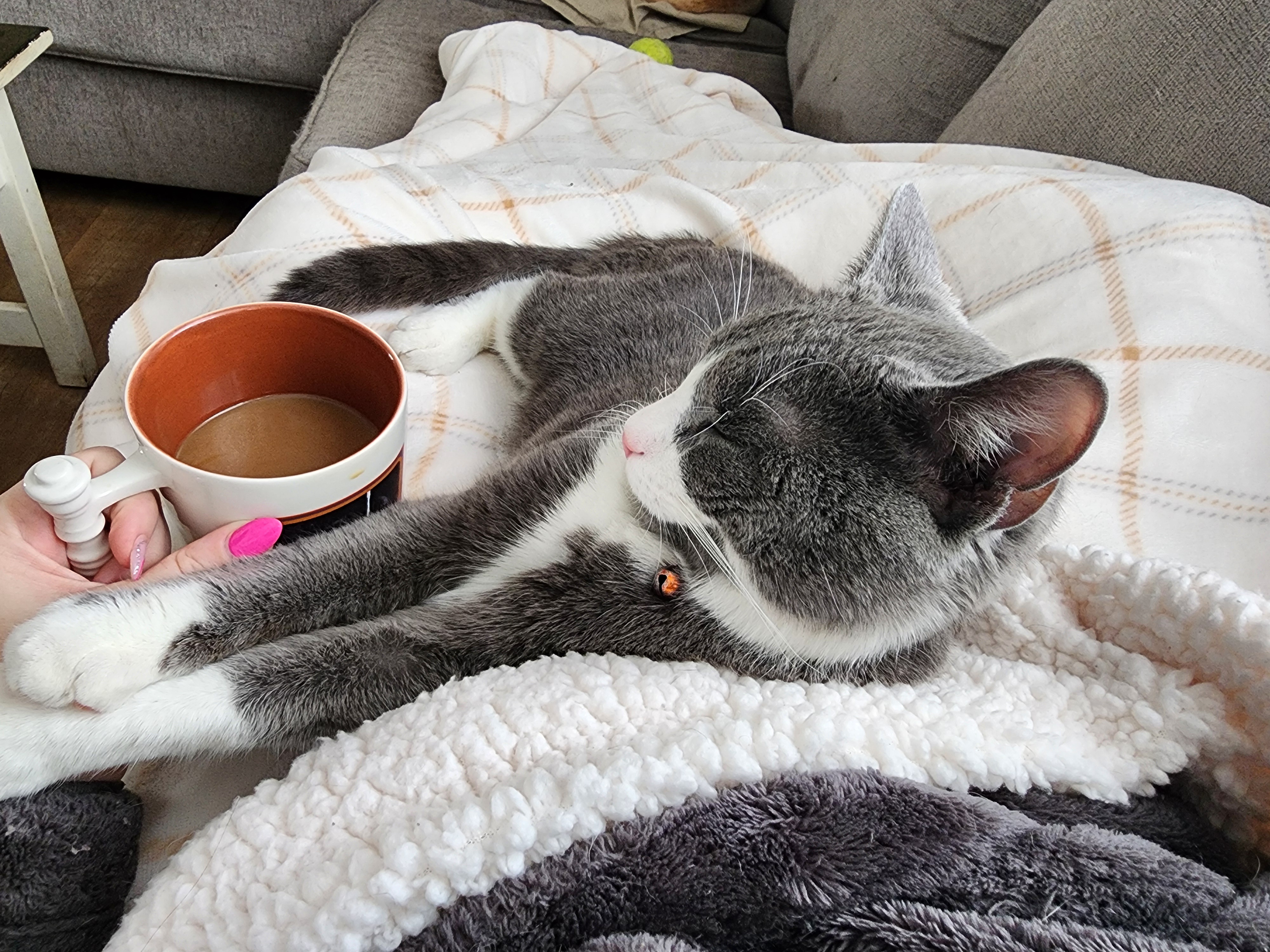 Coffee and Caturday: The Perfect Combo