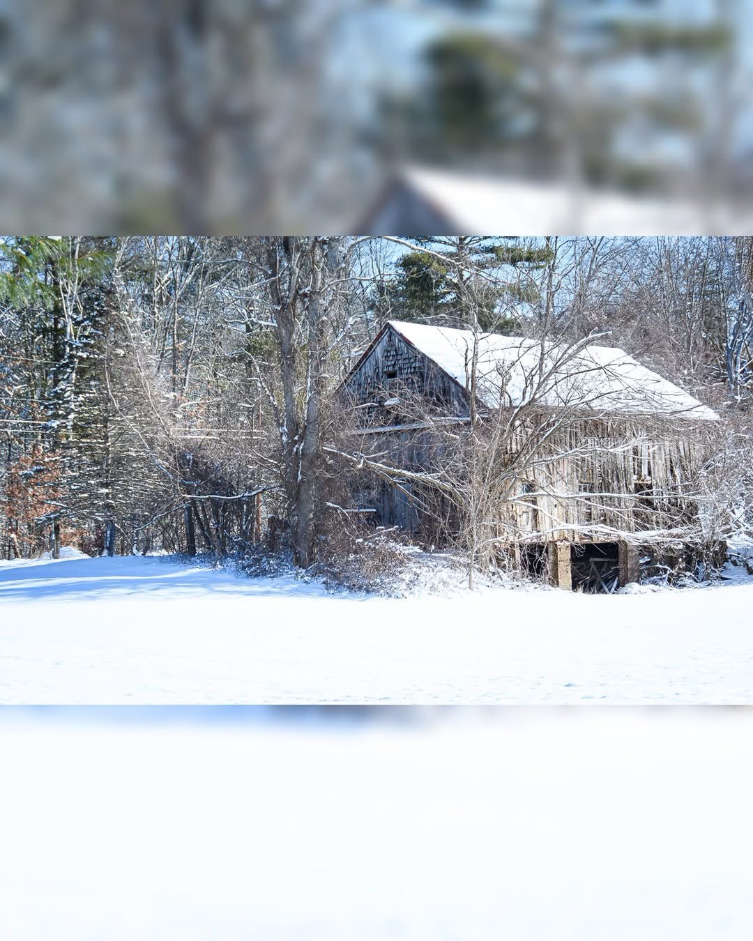 The Classic Barn: A Timeless Structure