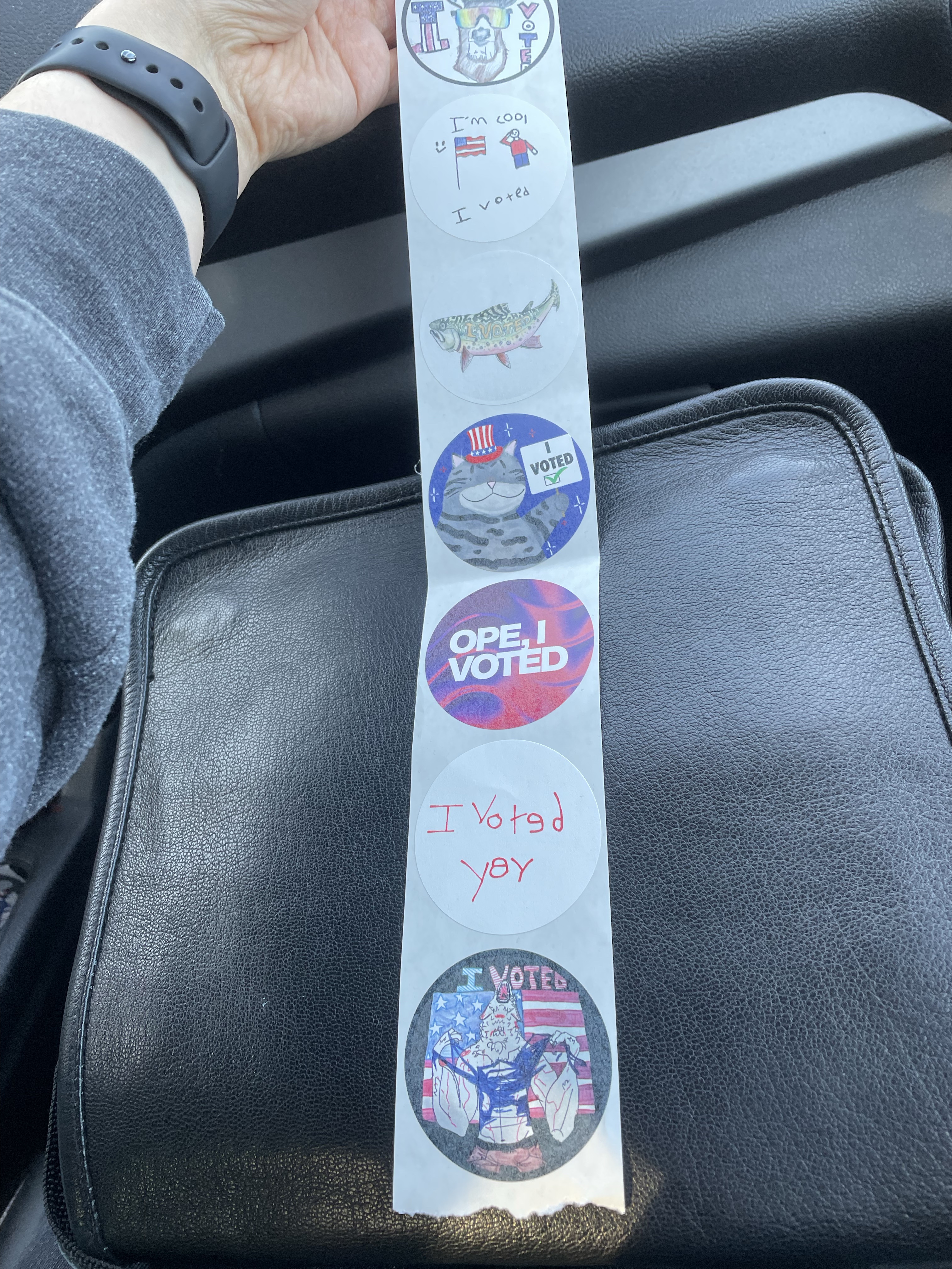Kickstarting the Early Voting in Michigan!