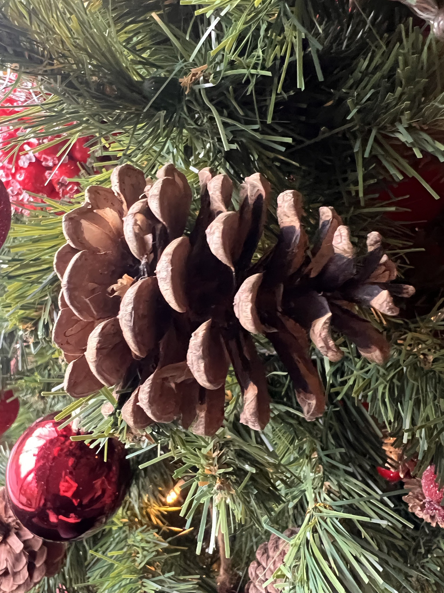 The Mighty Team Pinecone Rises