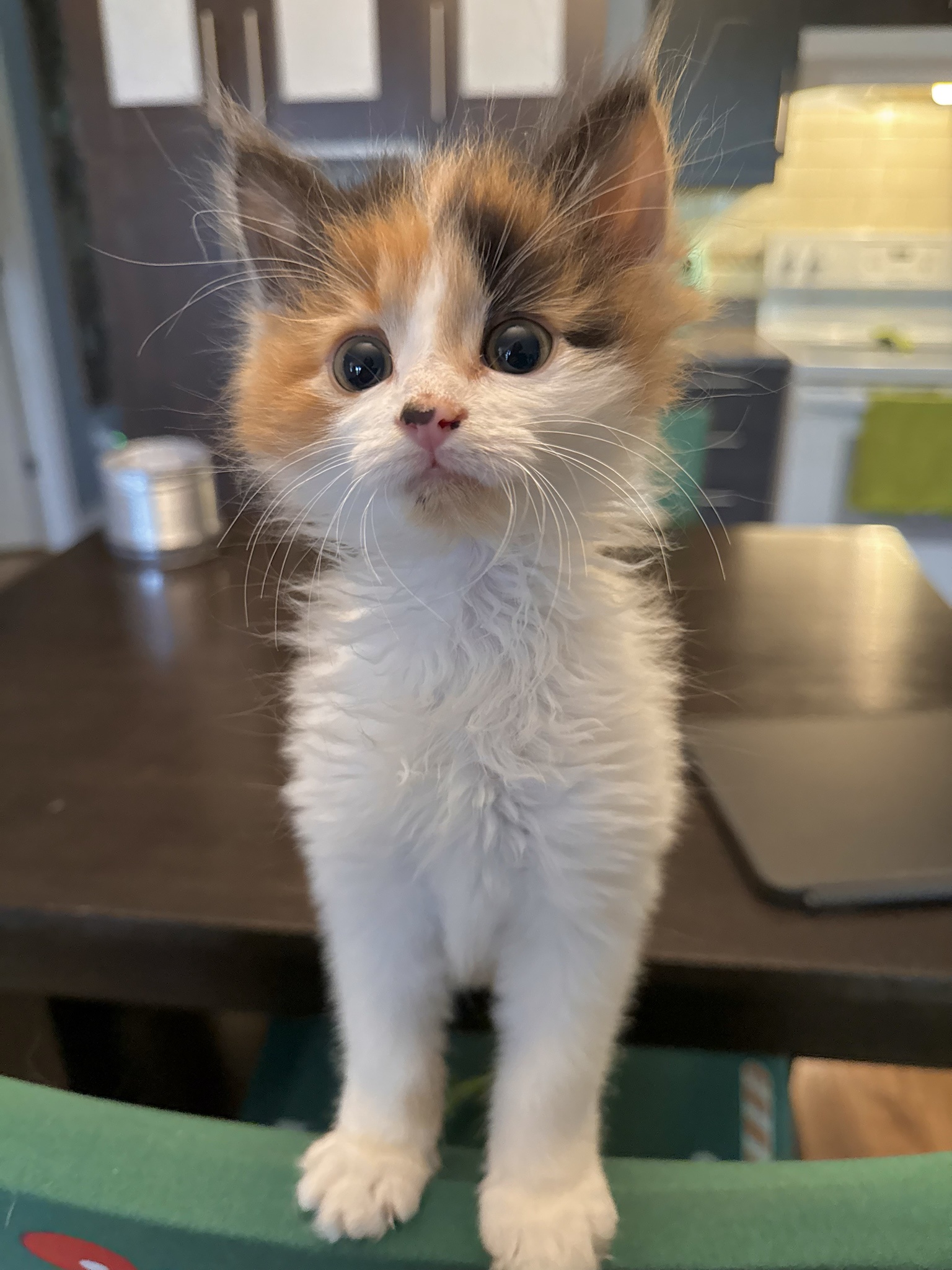 Well, hello there!