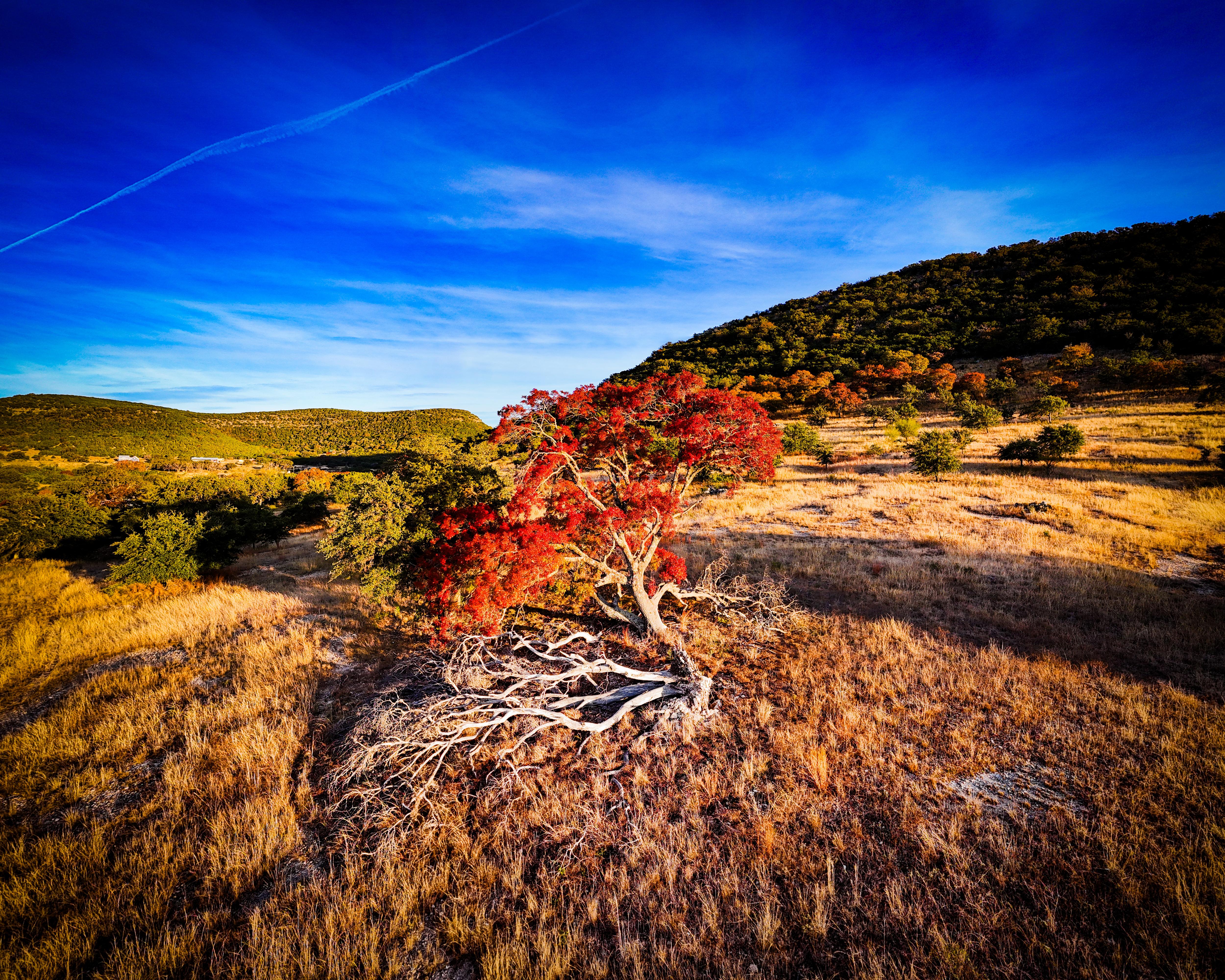 Today's Edits from Hill Country