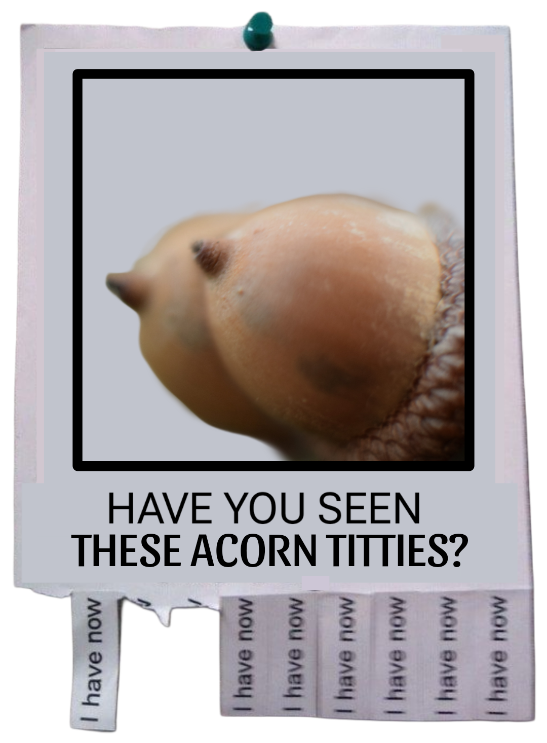 You're Welcome, Anytime!