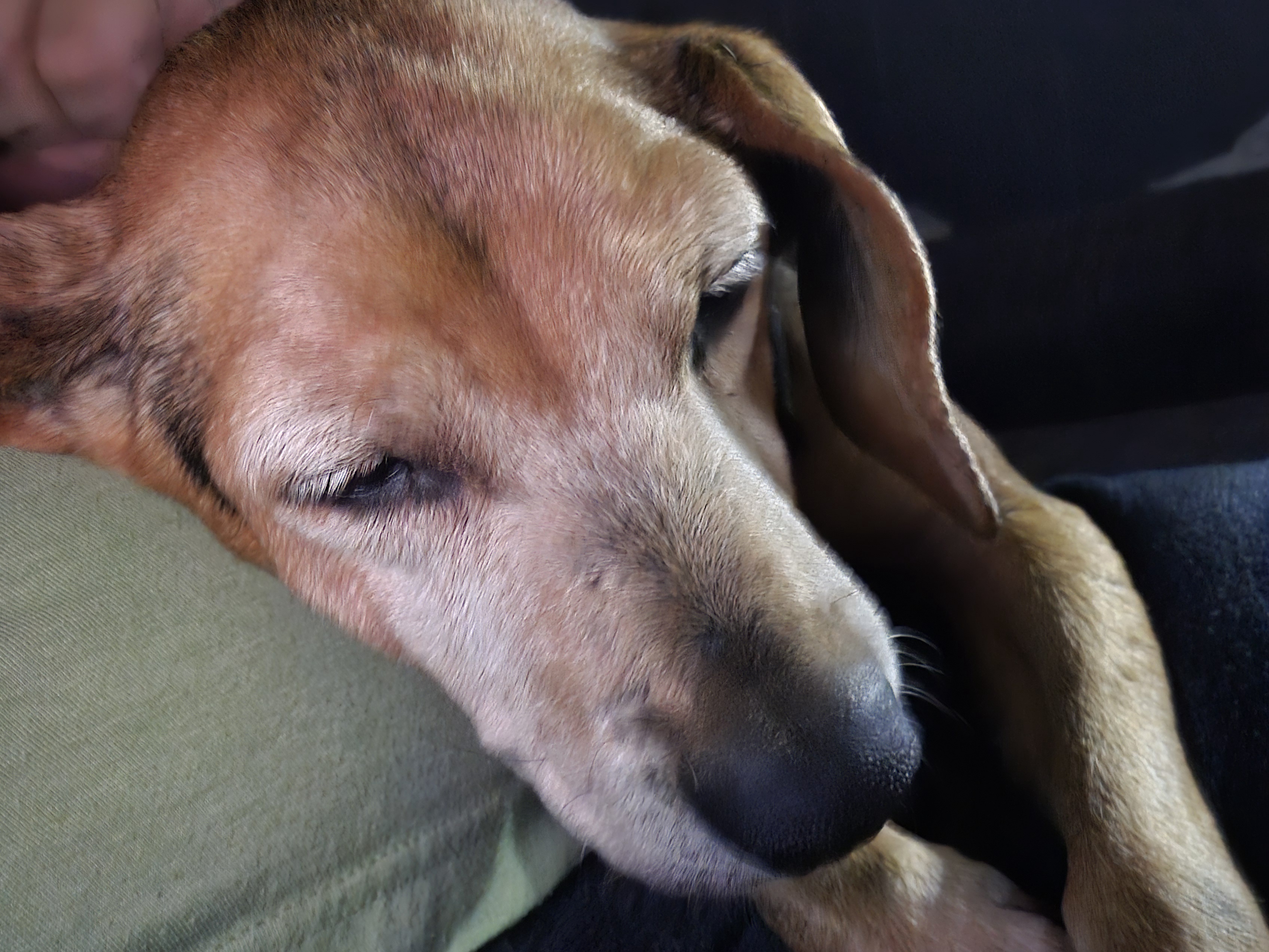 Everyone, give a warm welcome to Pepper!