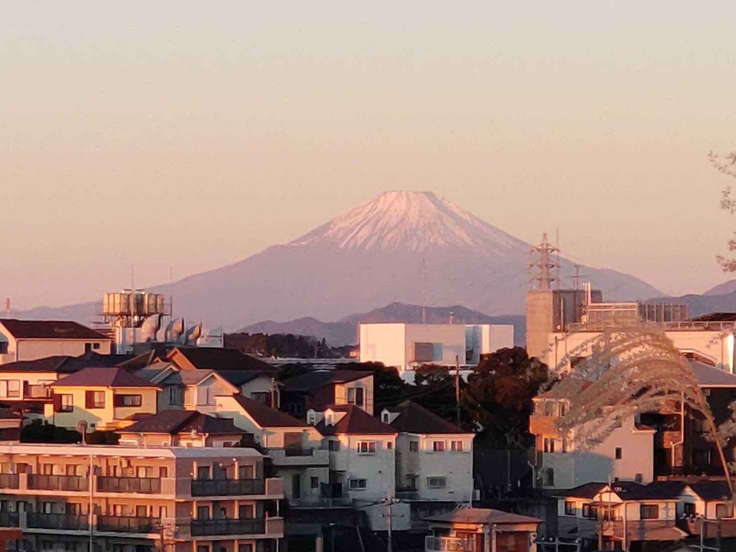 Morning Serenity: A Beautiful View of Fuji!