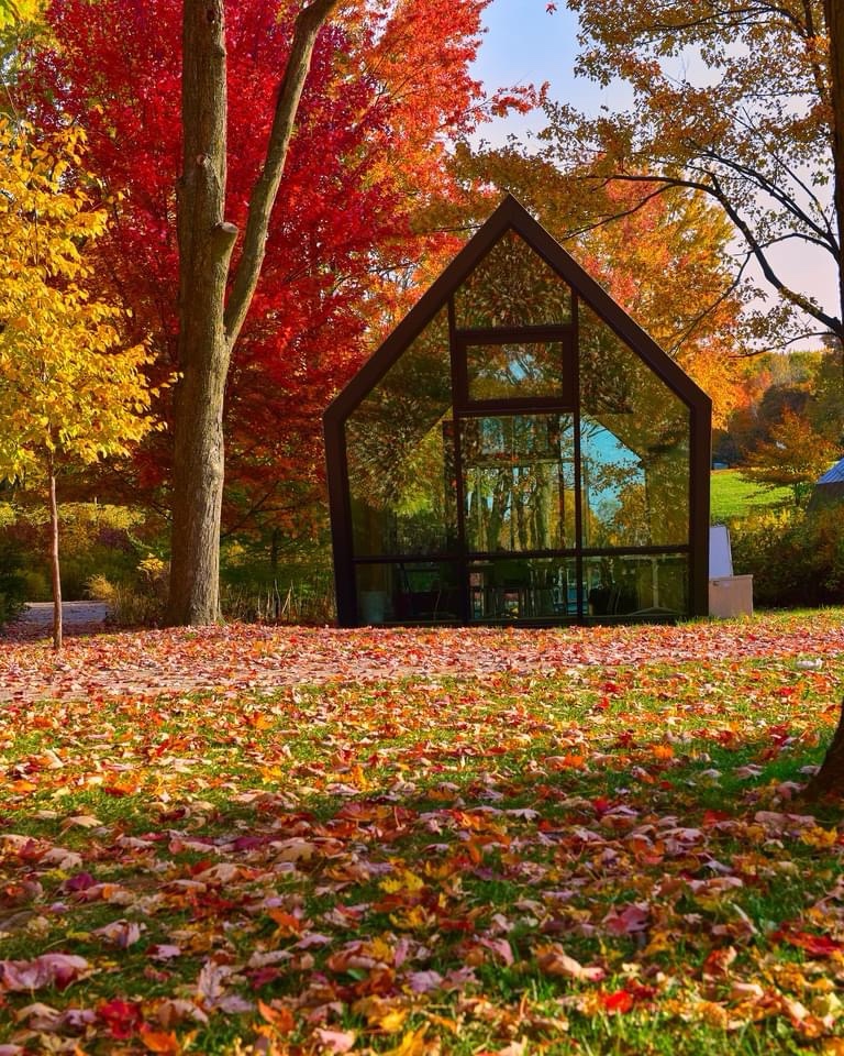 Embracing the Beauty of Autumn