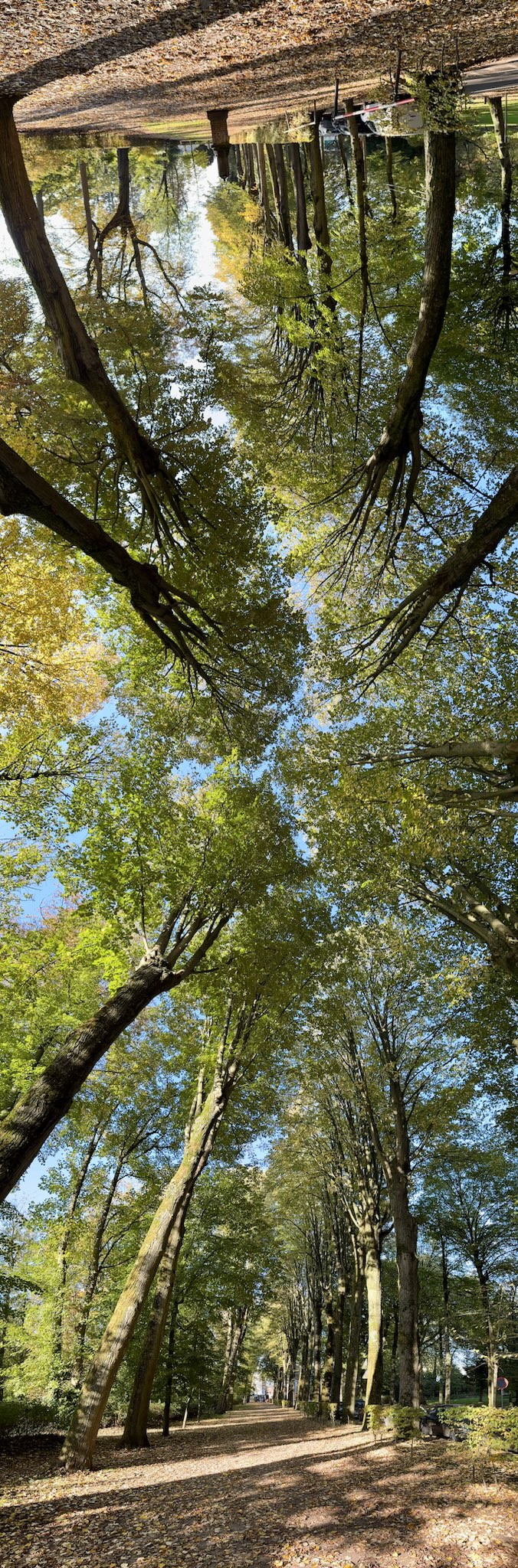 A captivating and unusual panorama [original content]