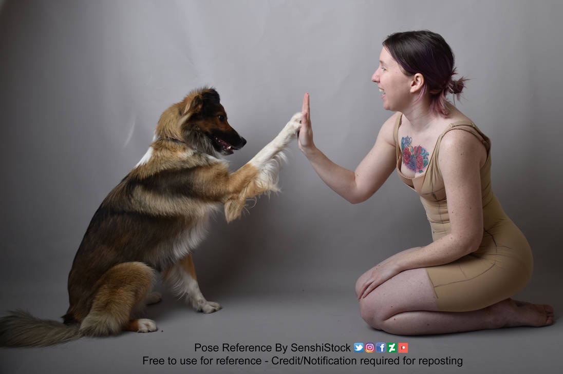 Daily Dose of Cuteness: Doggy High Five