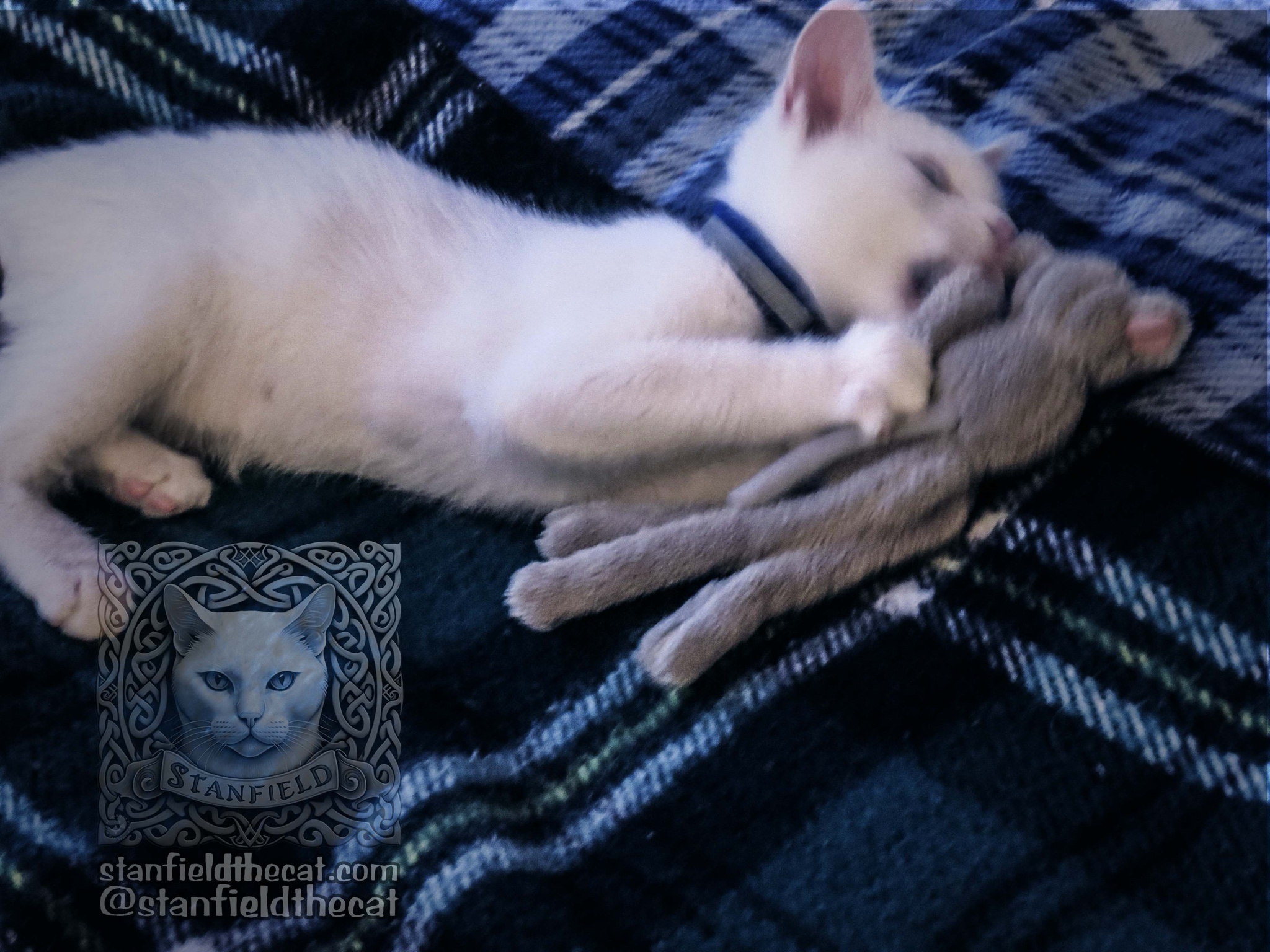 Throwback to Stanfield's Adoption Day: March 20, 2013