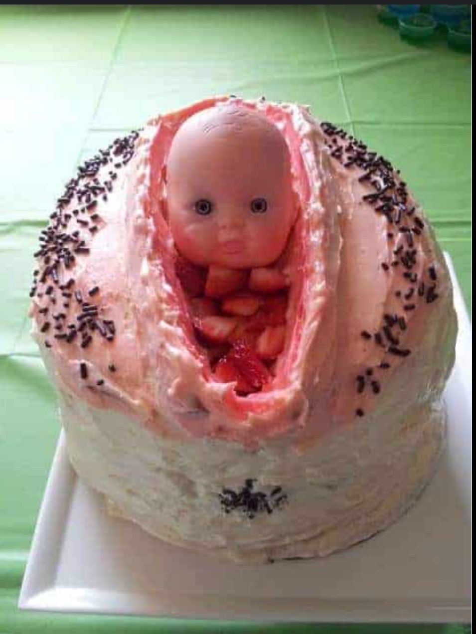 Celebrating Nine Years of Memes: A Belated Cake Day Tribute!