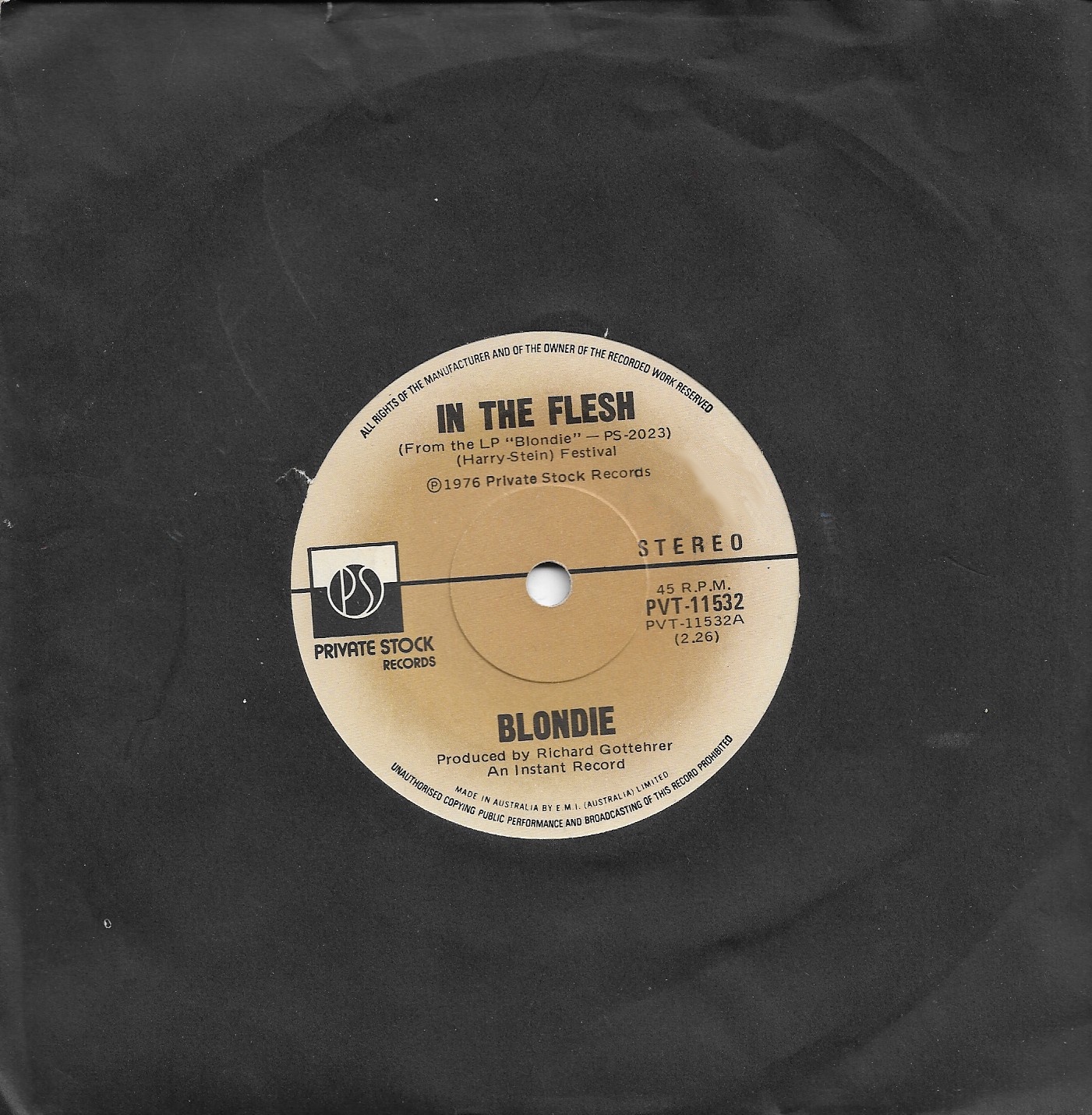 Blondie Rocks: In the Flesh on Private Stock