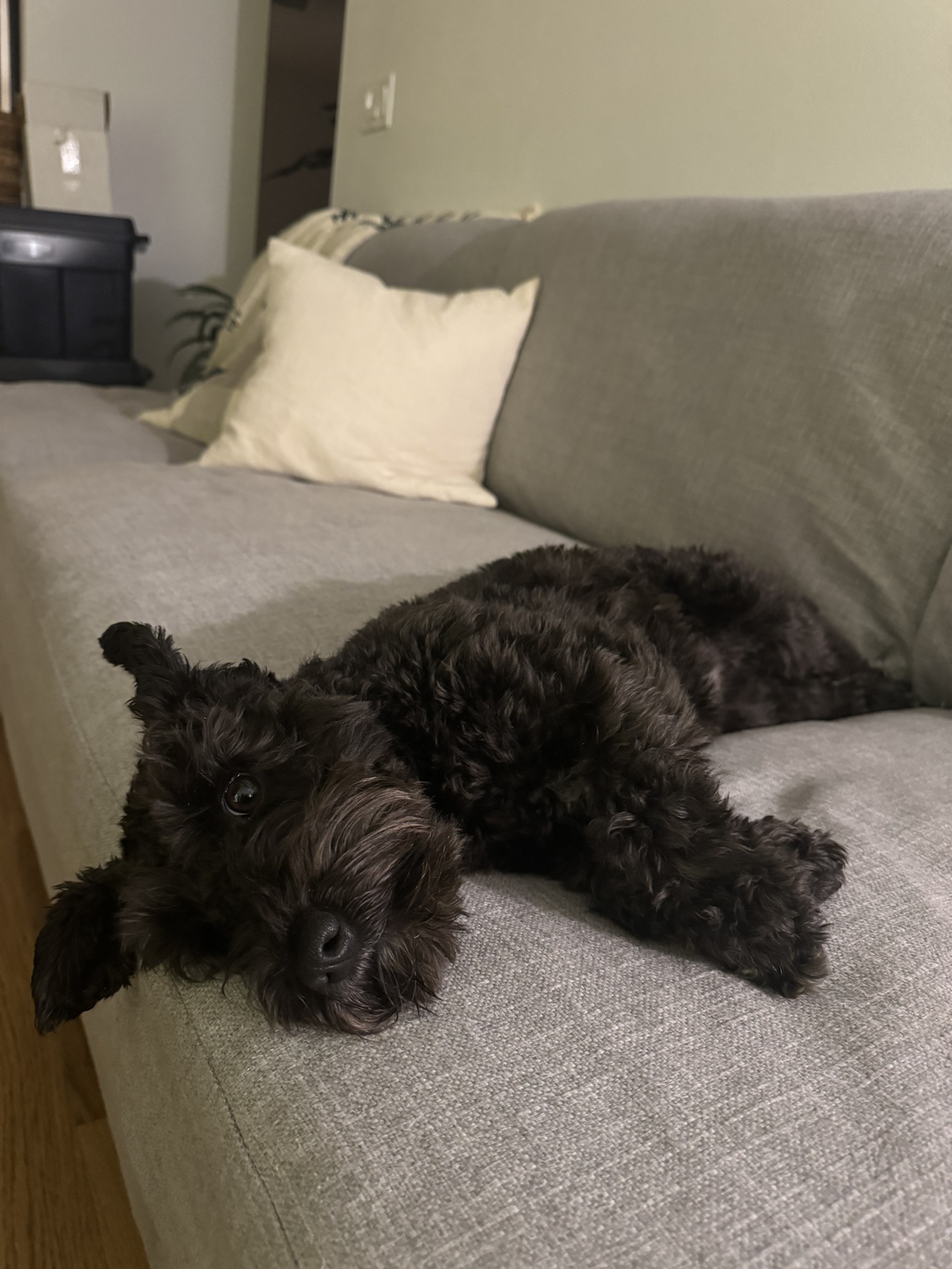 Your daily dose of The Daily Olive