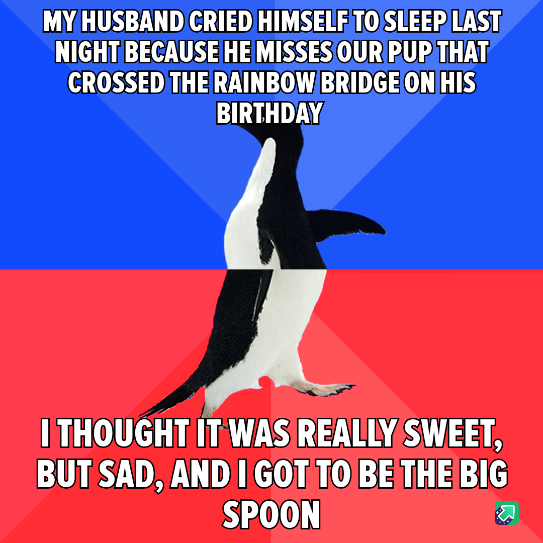 In Loving Memory of a Good Dog