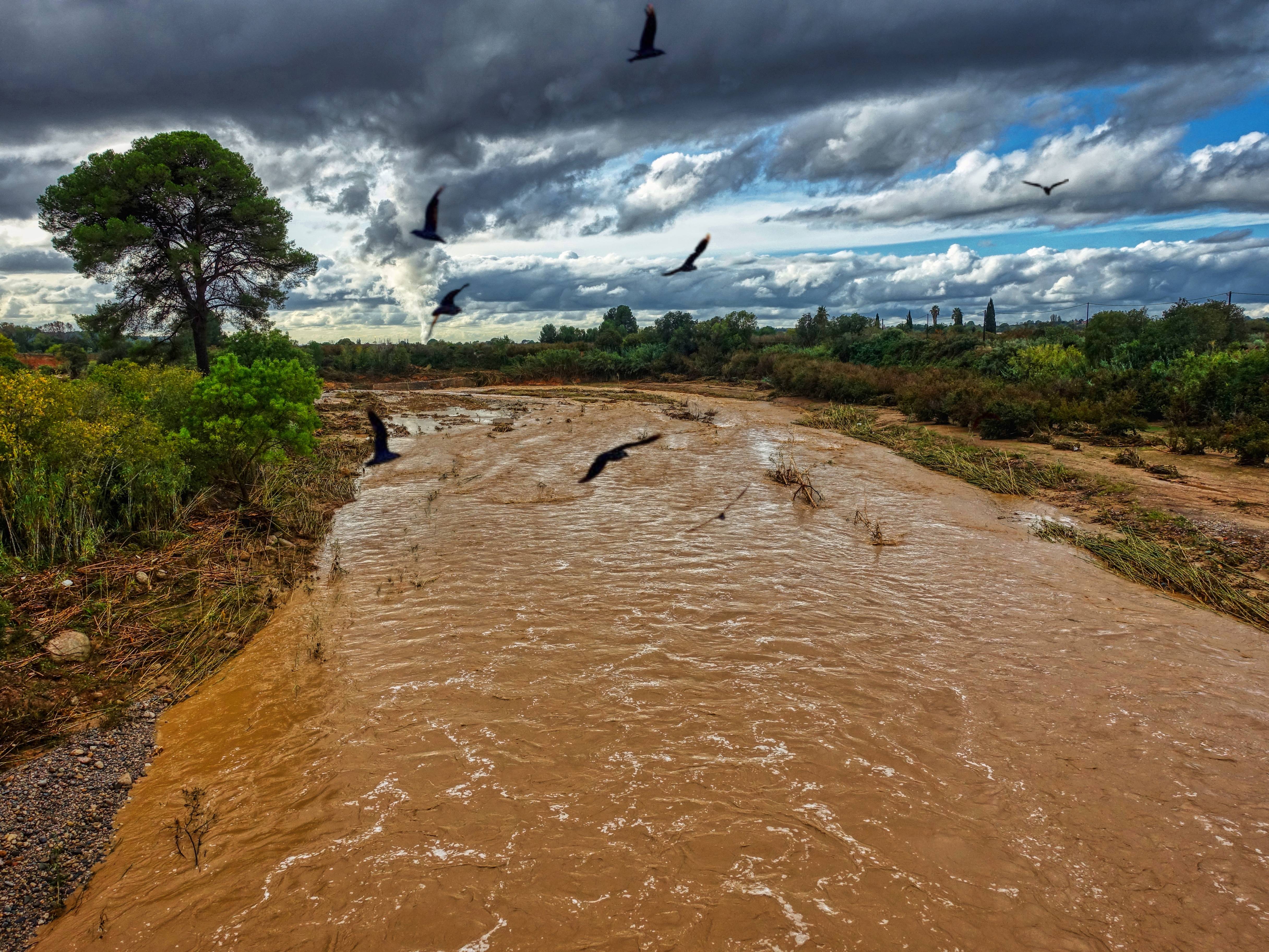 Rio in Crisis: The Impact of Flooding