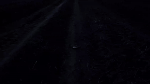 A Scenic Journey Down Sunset Road