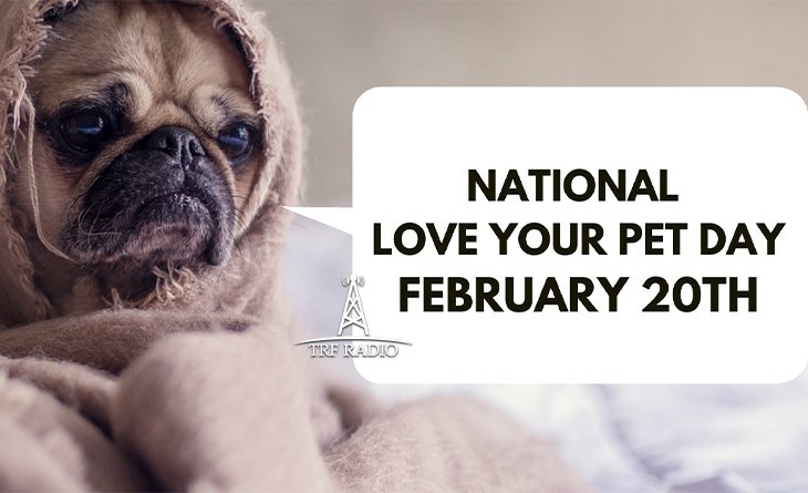 Celebrating Our Furry Friends on February 20