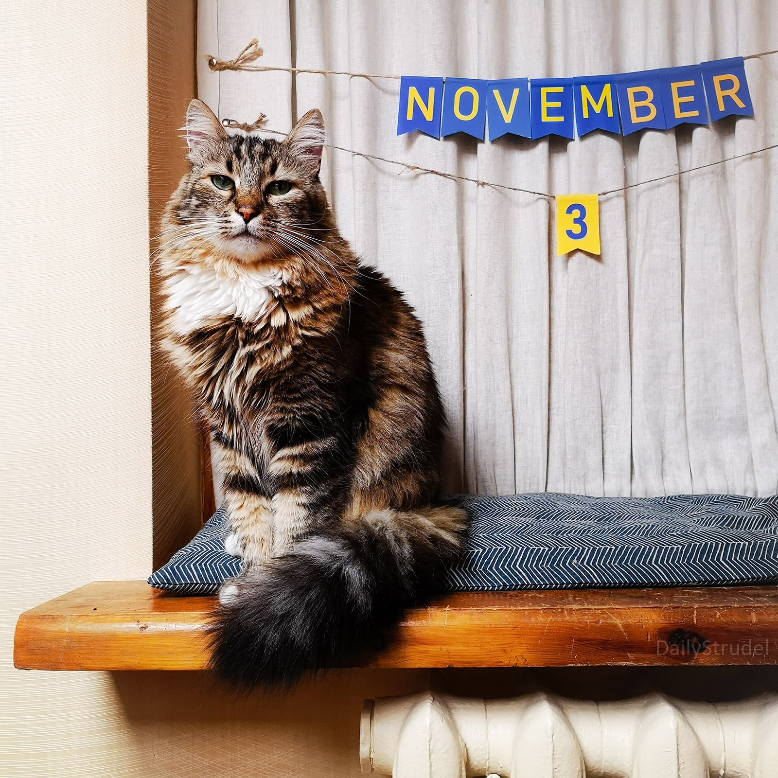 Mark Your Calendars: November 3 is Coming!