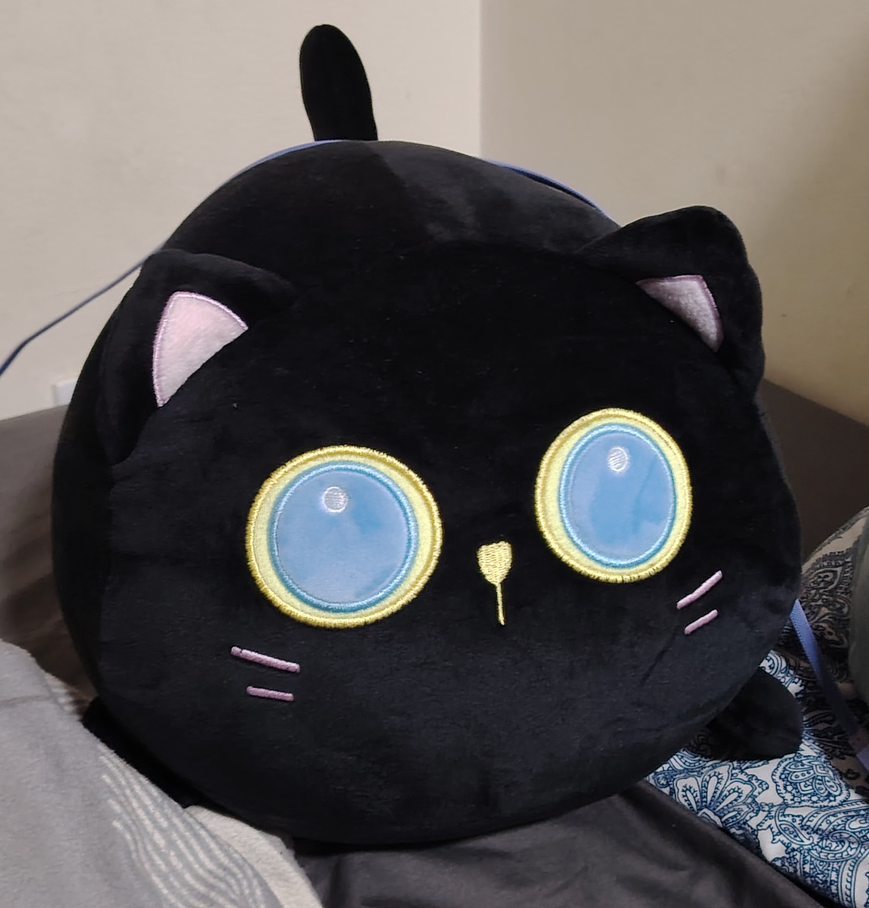 Meet my adorable Black Cat Squishmallow