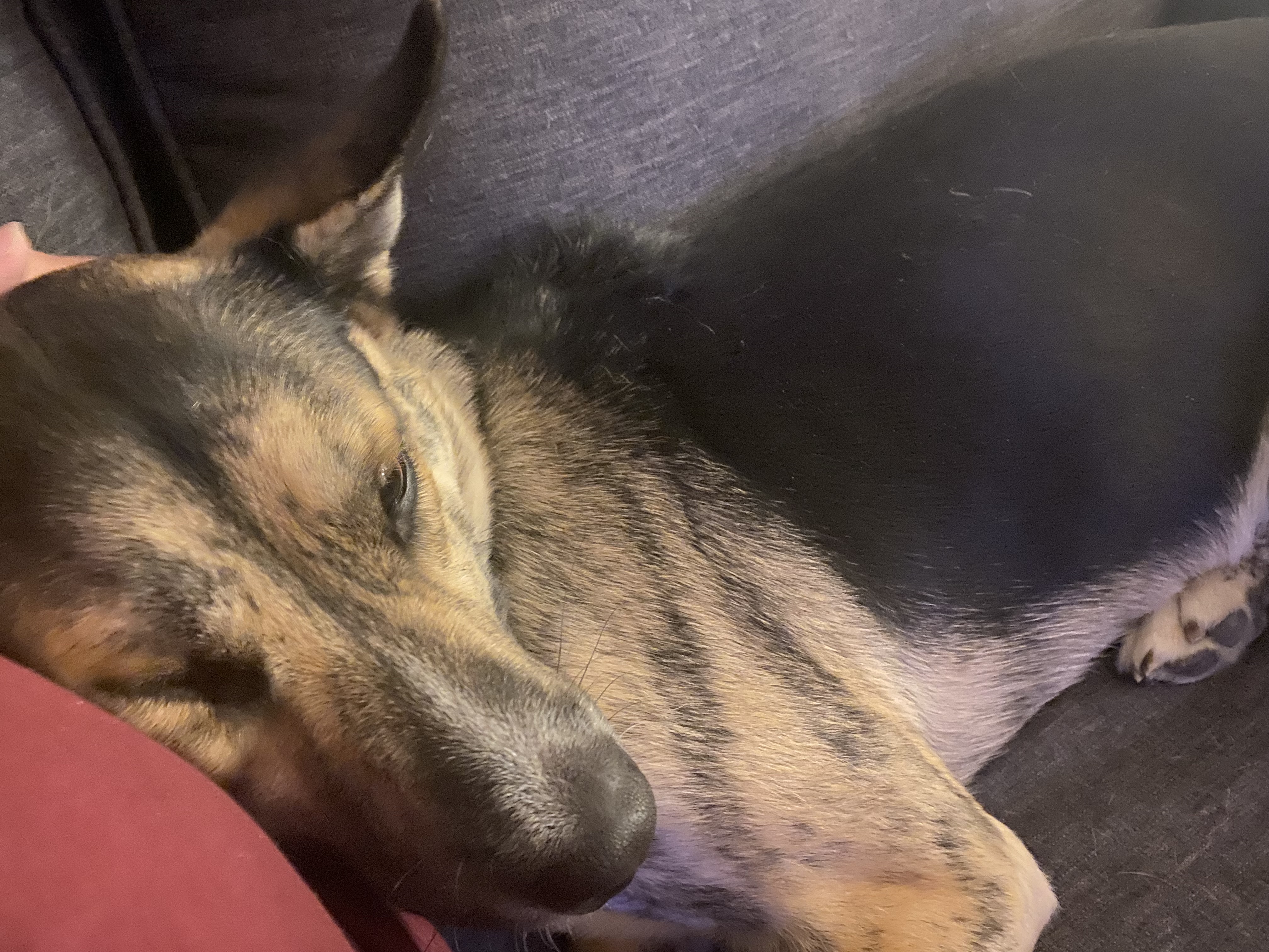 Sleepy Boy's Heart Belongs to His Mom <3