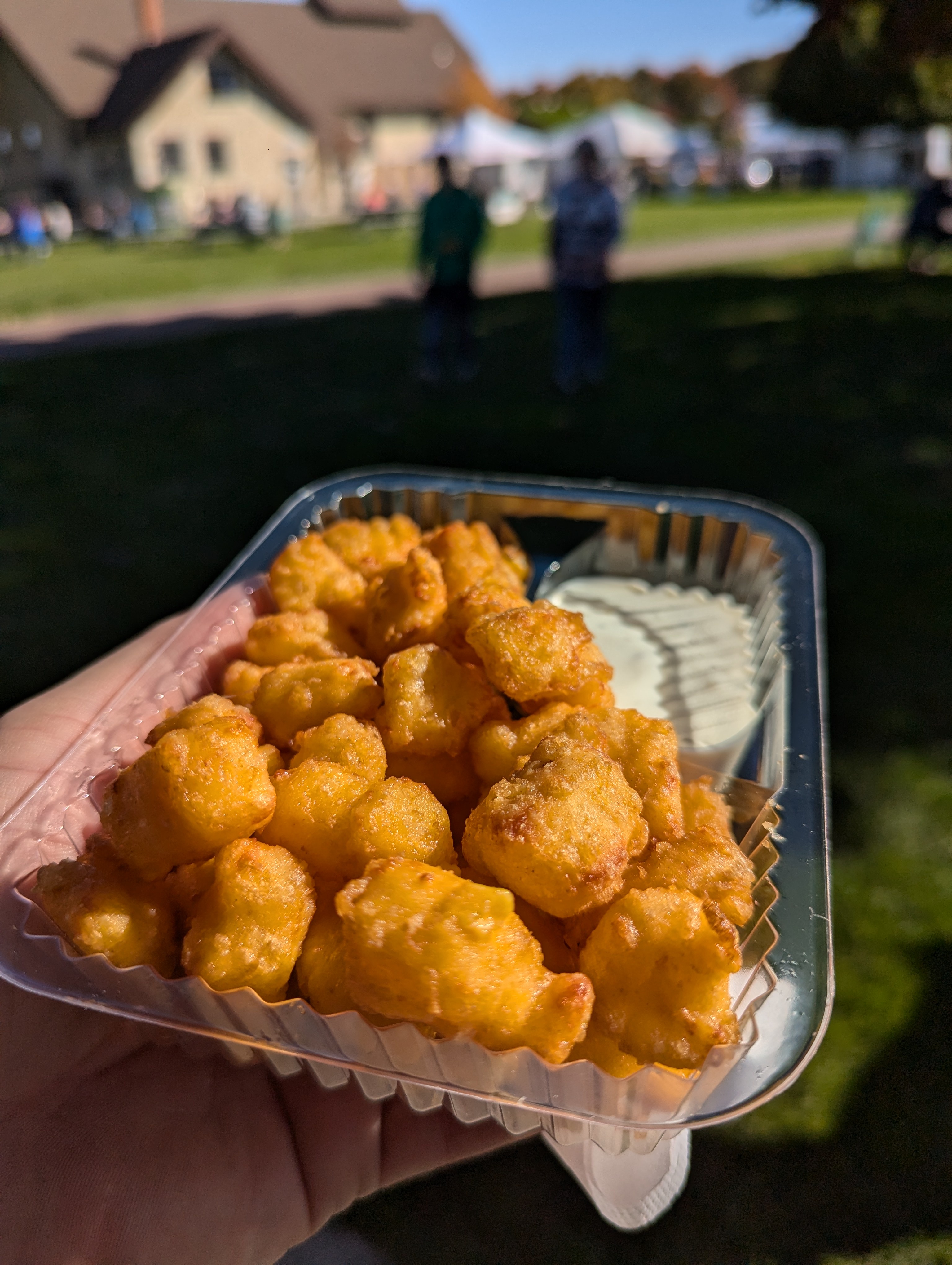 Savoring the Irresistible Flavor of Wisconsin's Golden Cheese Curds