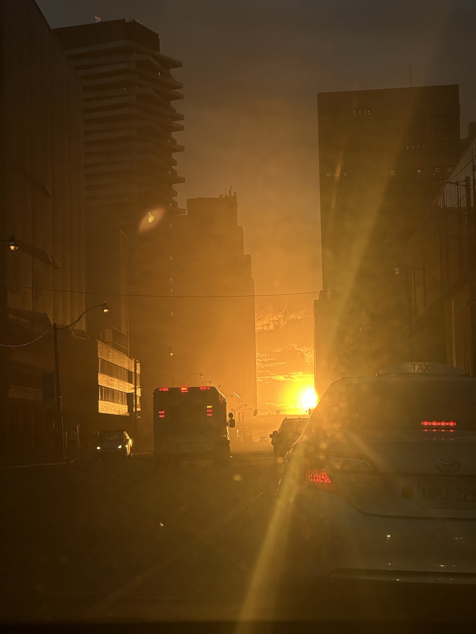 The sun was blinding while driving, tried to capture a moment for my girl, and ended up with a wild shot!