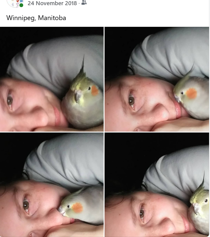 Missing My Little Booger Digger: A Heartfelt Reflection