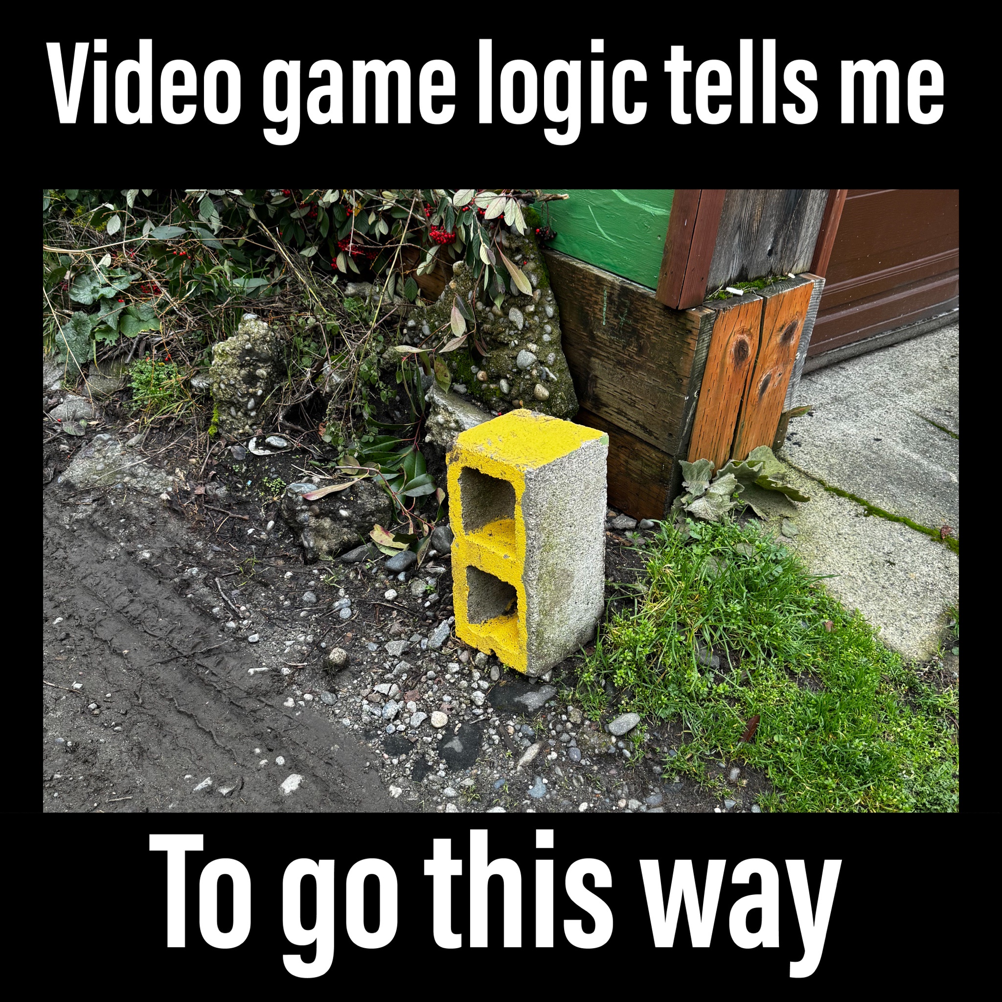 The Quirks of Video Game Logic