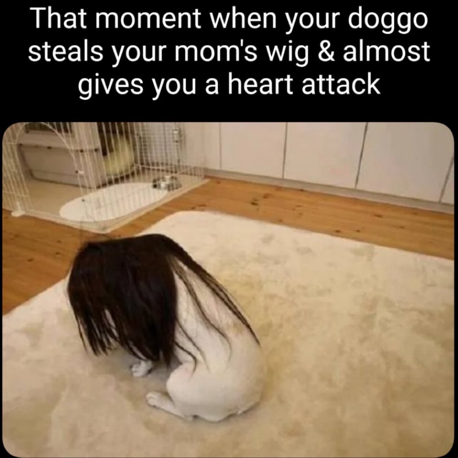 When Laughter Strikes: Haha Moments