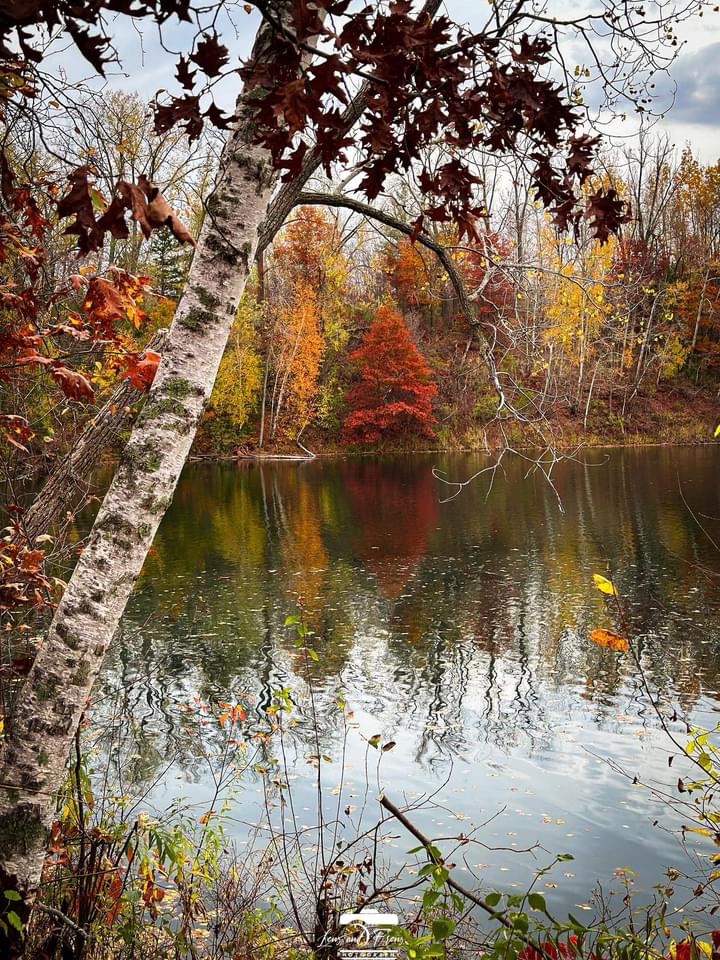 Embracing the Essence of Autumn