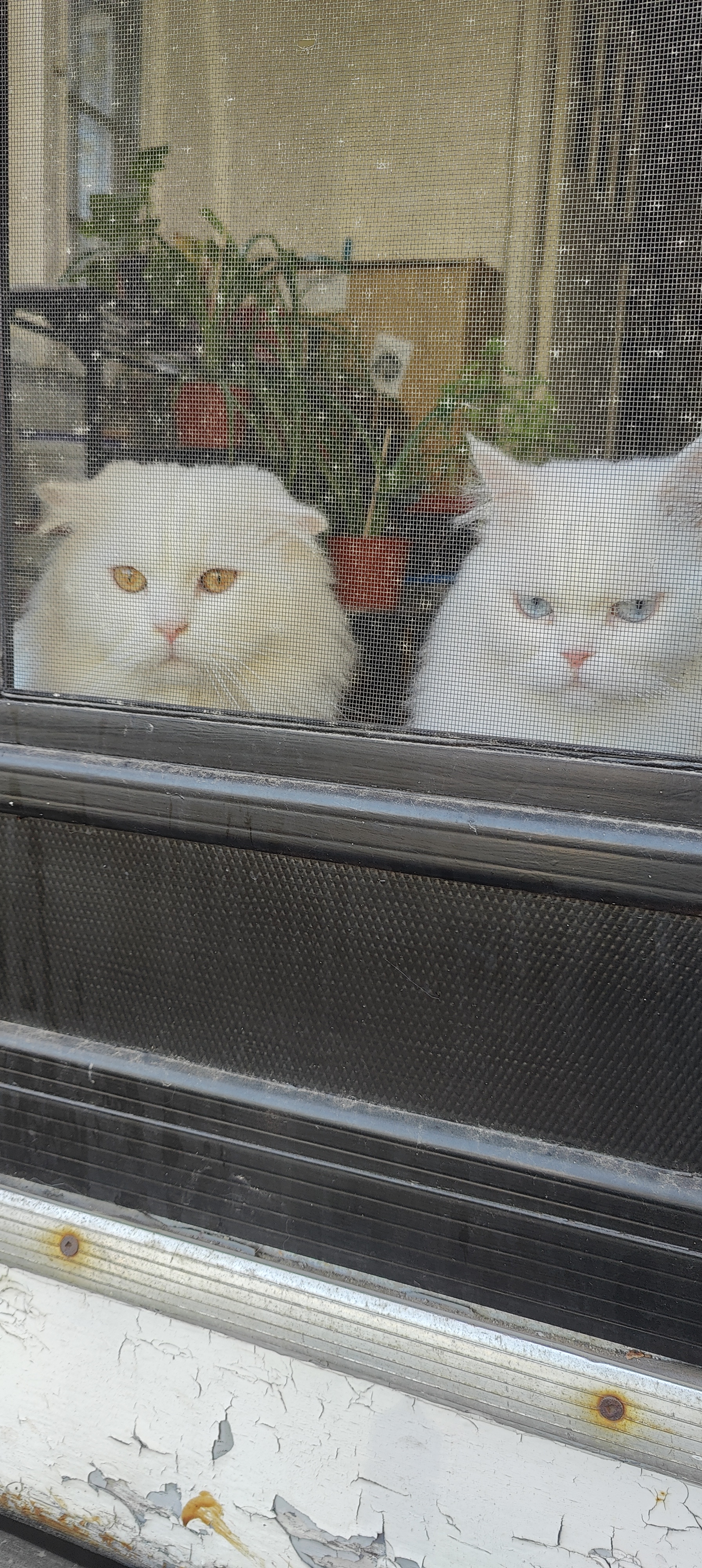 Who Keeps an Eye on the Watchers?