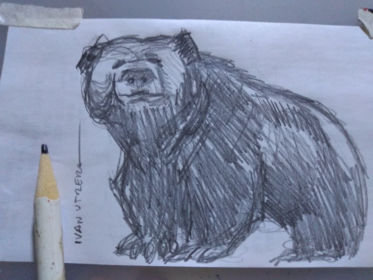 A Bear Encounter Like No Other